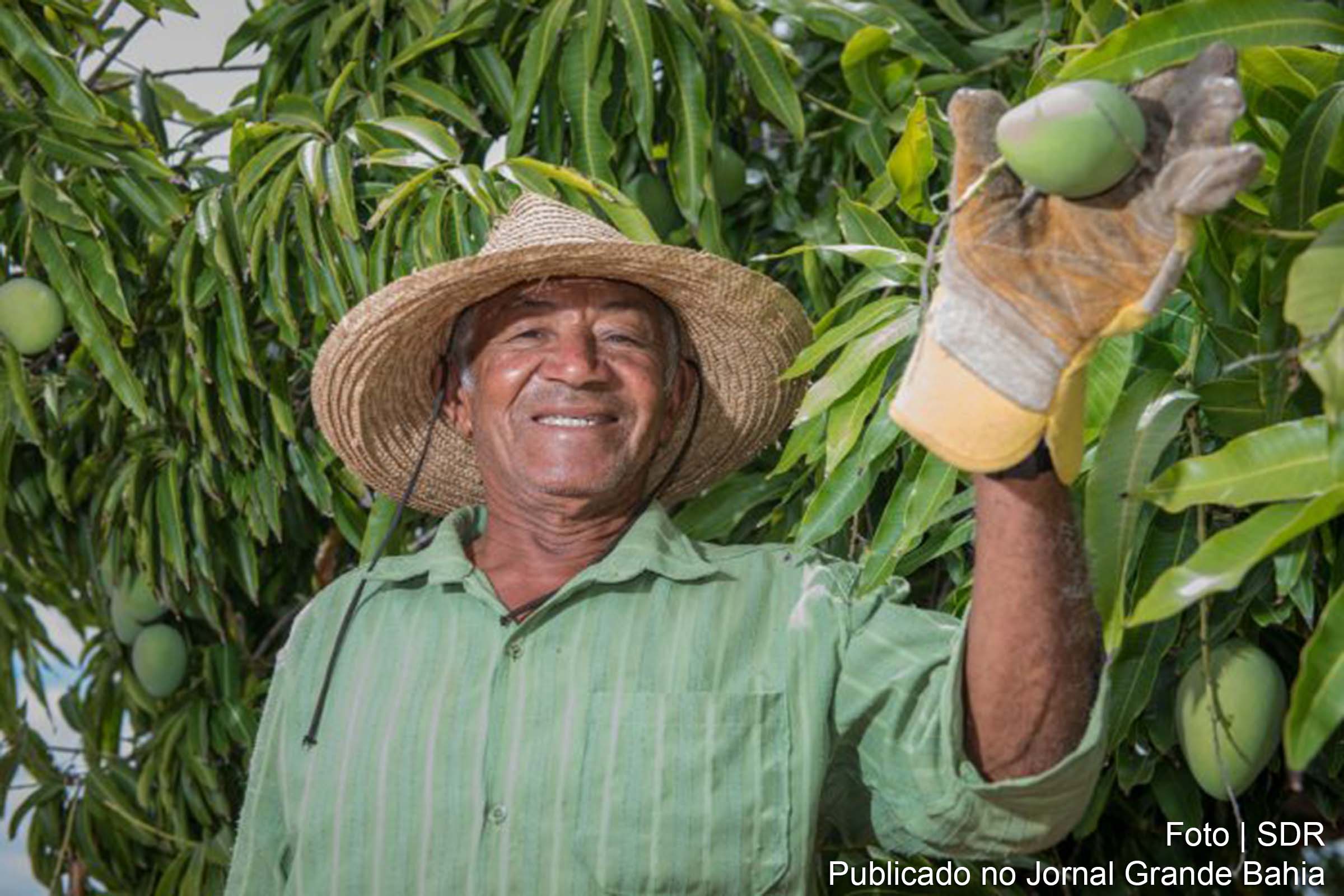 O plano apresenta 28 macro objetivos, articulados com as diretrizes da Política Estadual de Convivência com o Semiárido.