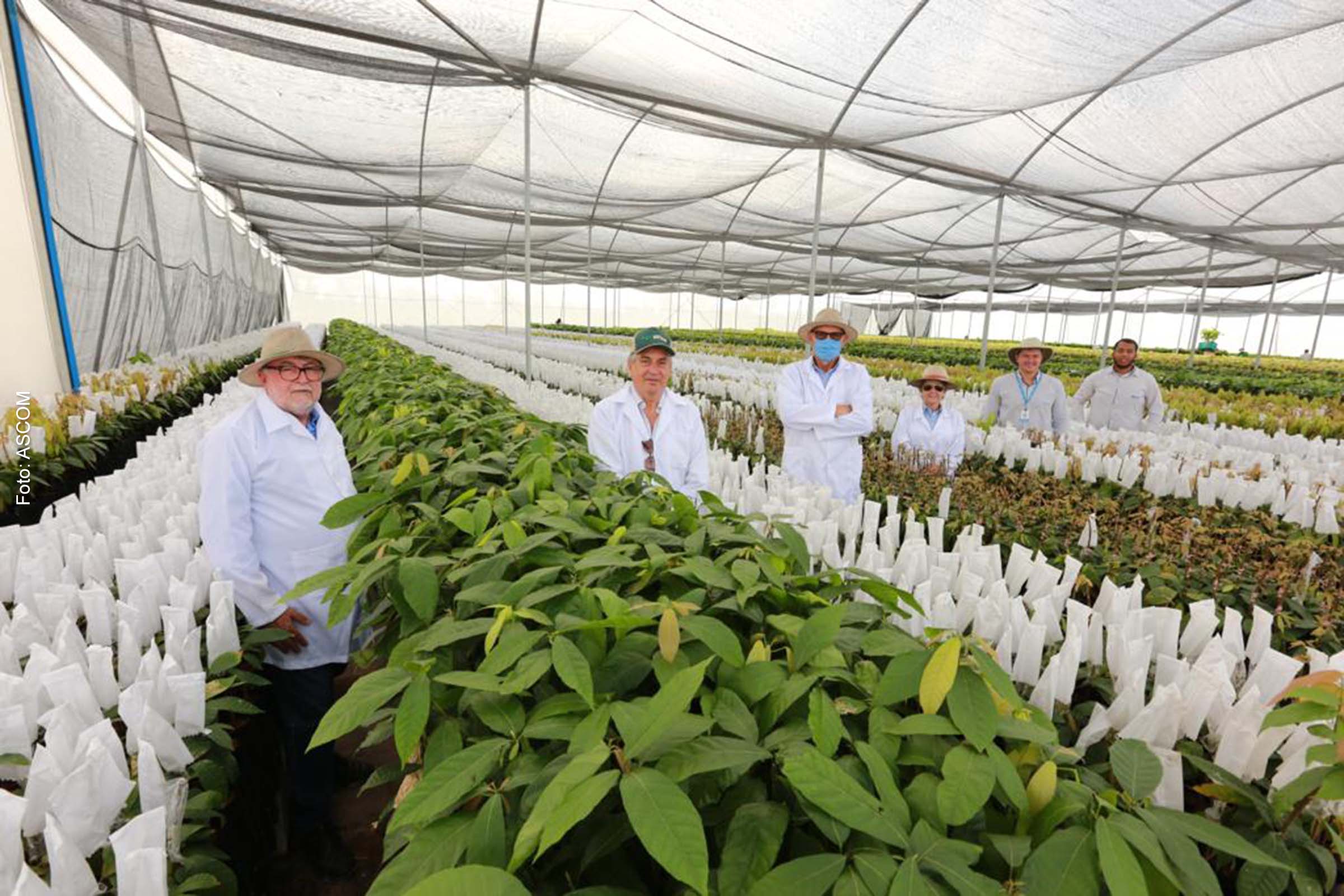 Em março de 2022, no município de Riachão das Neves, a comitiva conheceu todo o manejo realizado em um viveiro de mudas de cacau e banana.