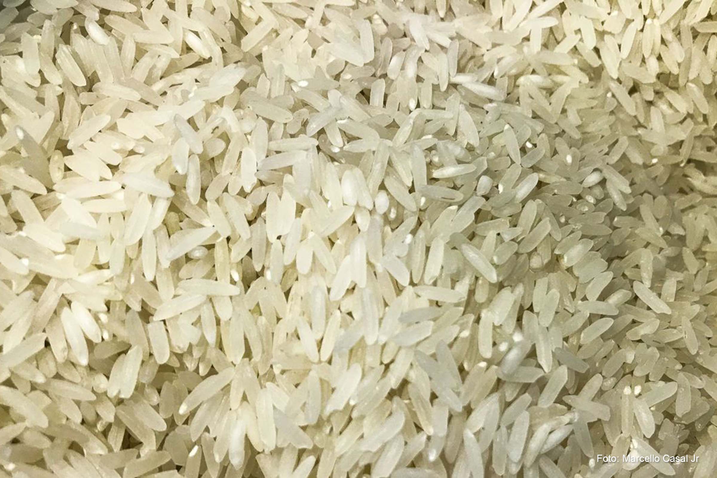 Serão afetados pela medida produtos como feijão, carne, massas, biscoitos, arroz e materiais de construção, dentre outros itens.