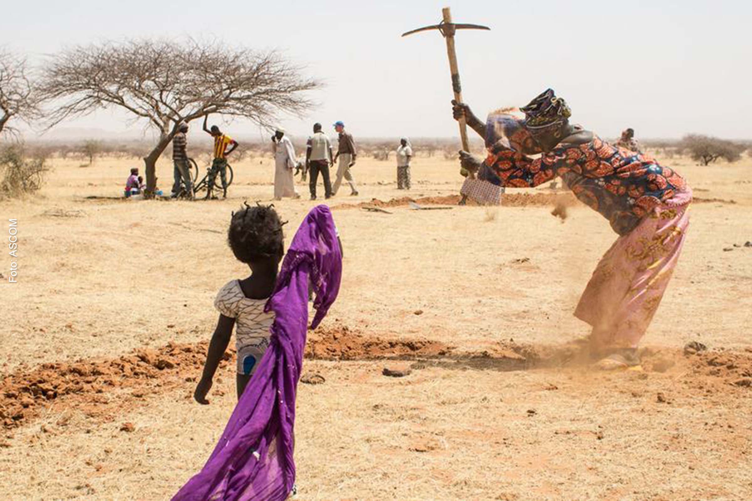 Degradação afeta cerca de 40% de toda a superfície não coberta por gelo.