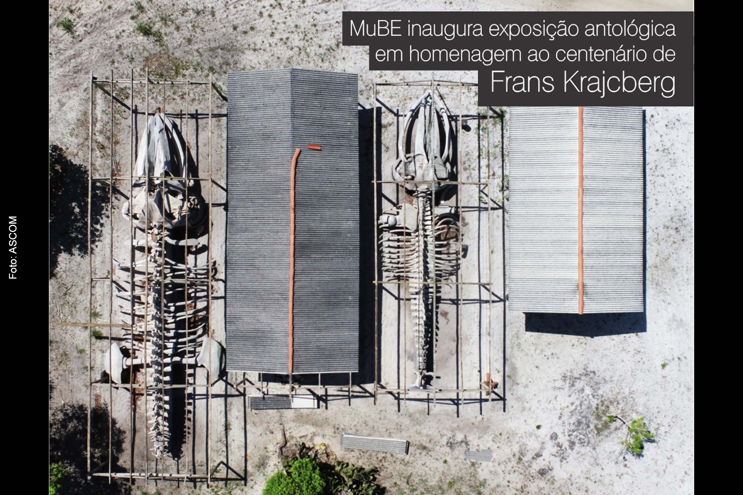 Exposição ‘Frans Krajcberg: por uma arquitetura da natureza está na agenda do público da Bahia.