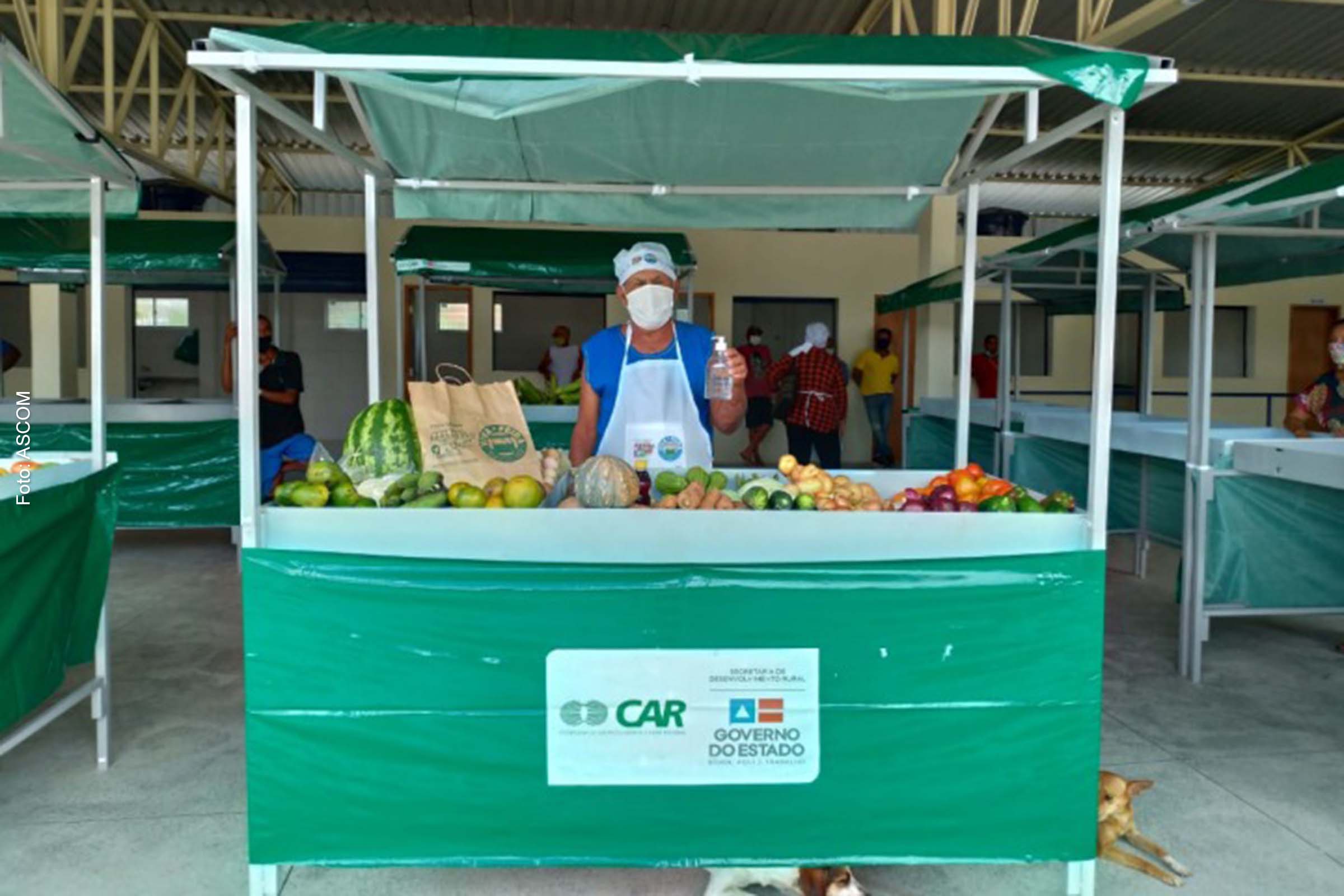 Governo da Bahia promove dinamização da economia com investimentos na agricultura familiar no Litoral Sul