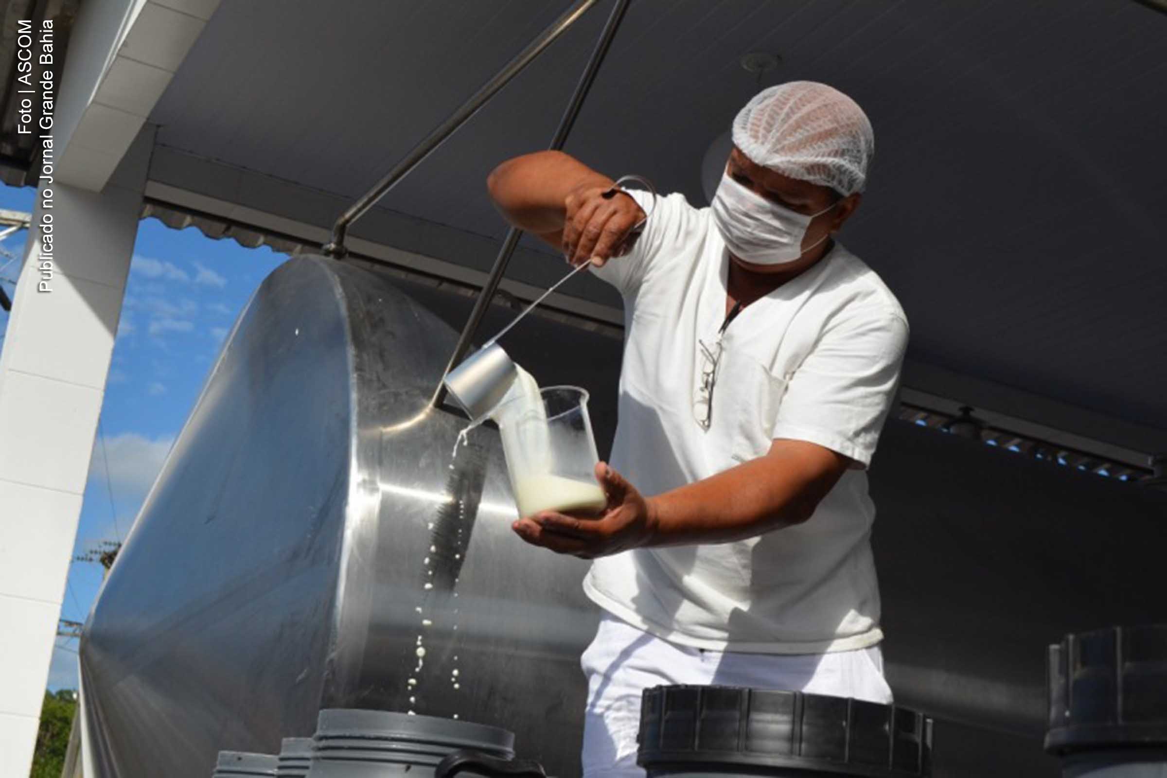 Bahia registra com aumento da capacidade de produção de leite.