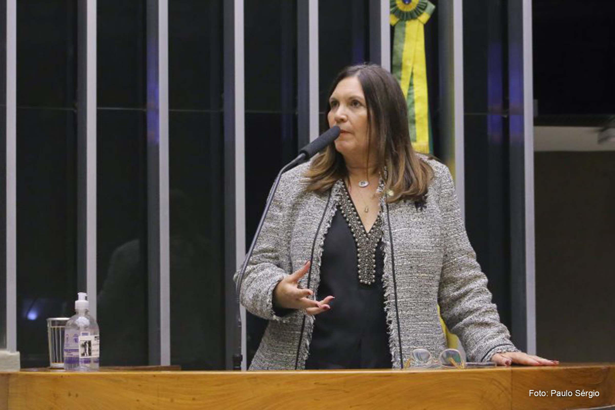 Bia Kicis (PL-DF) foi a relatora da proposta na Câmara dos Deputados.
