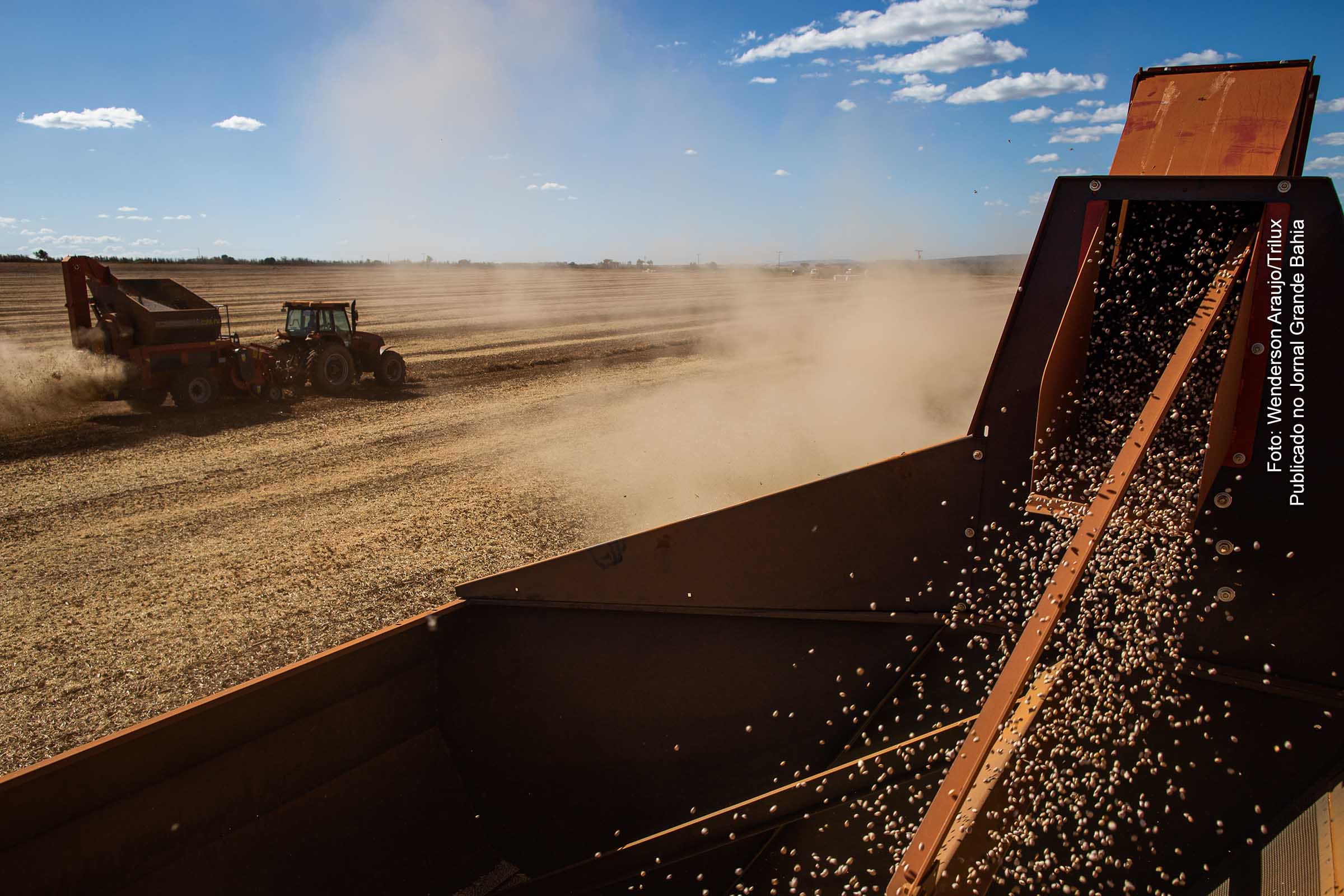 O PIB do agronegócio da Bahia totalizou R$ 22,7 bilhões no primeiro trimestre de 2022, representando 24,3% do PIB estadual para o período.