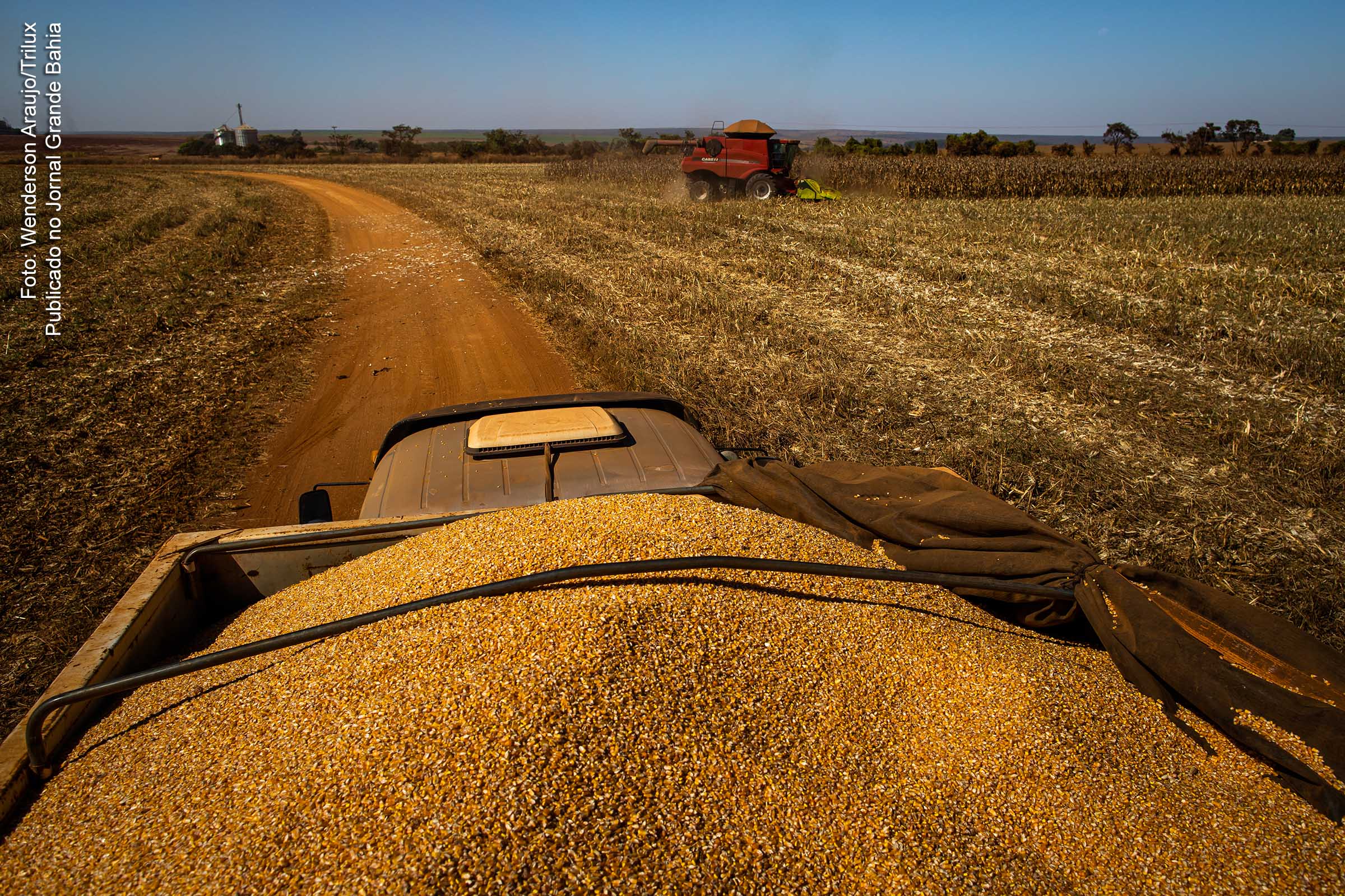 Estudo indica que a produção agrícola global precisa crescer 70%, até 2050, apenas para alimentação da população e que cerca de 33 milhões de brasileiros estão vivendo com fome revela que o Brasil não consegue fazer os grãos chegarem à mesa dos seus cidadãos. Produção nacional de grãos saltou de 186,7 milhões de toneladas para 255,5 milhões, mas a abundância não se refletiu nos preços dos alimentos. 