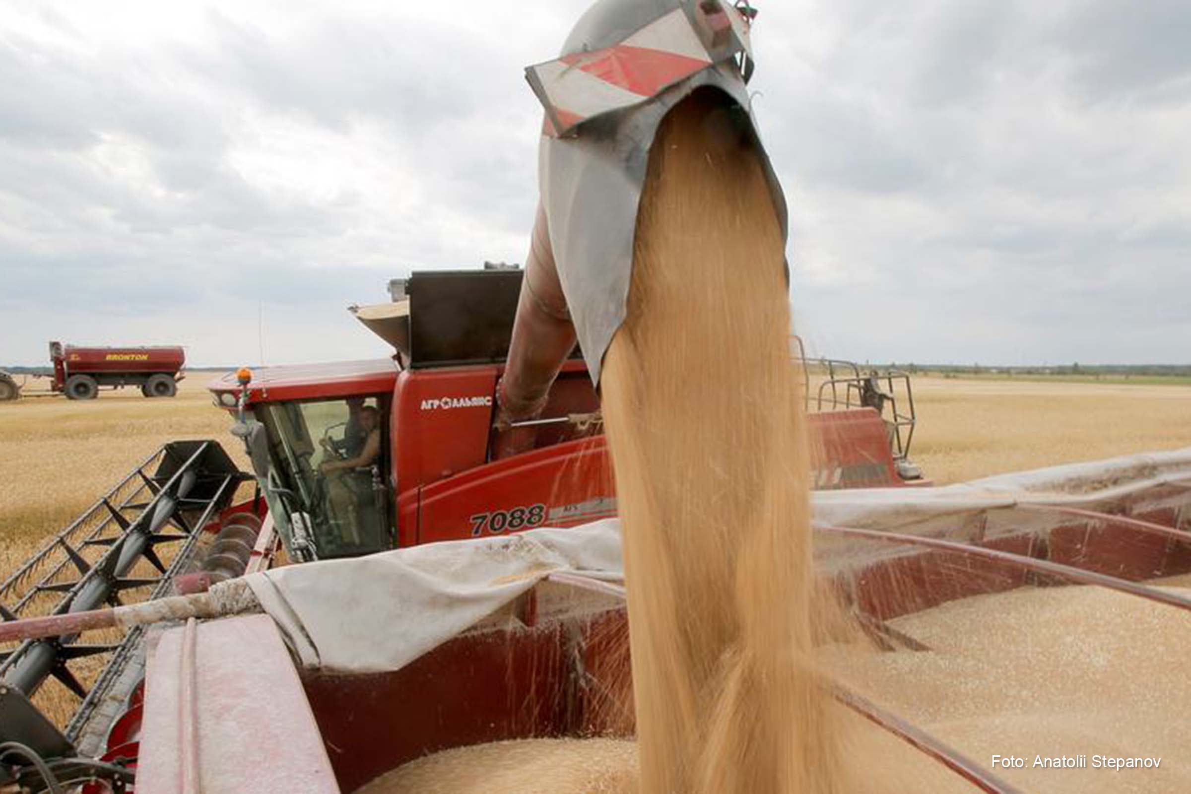 FAO explica que valor de mercado do cereal aumentou devido à preocupação com condições de colheitas em vários países exportadores e redução da produção na Ucrânia.