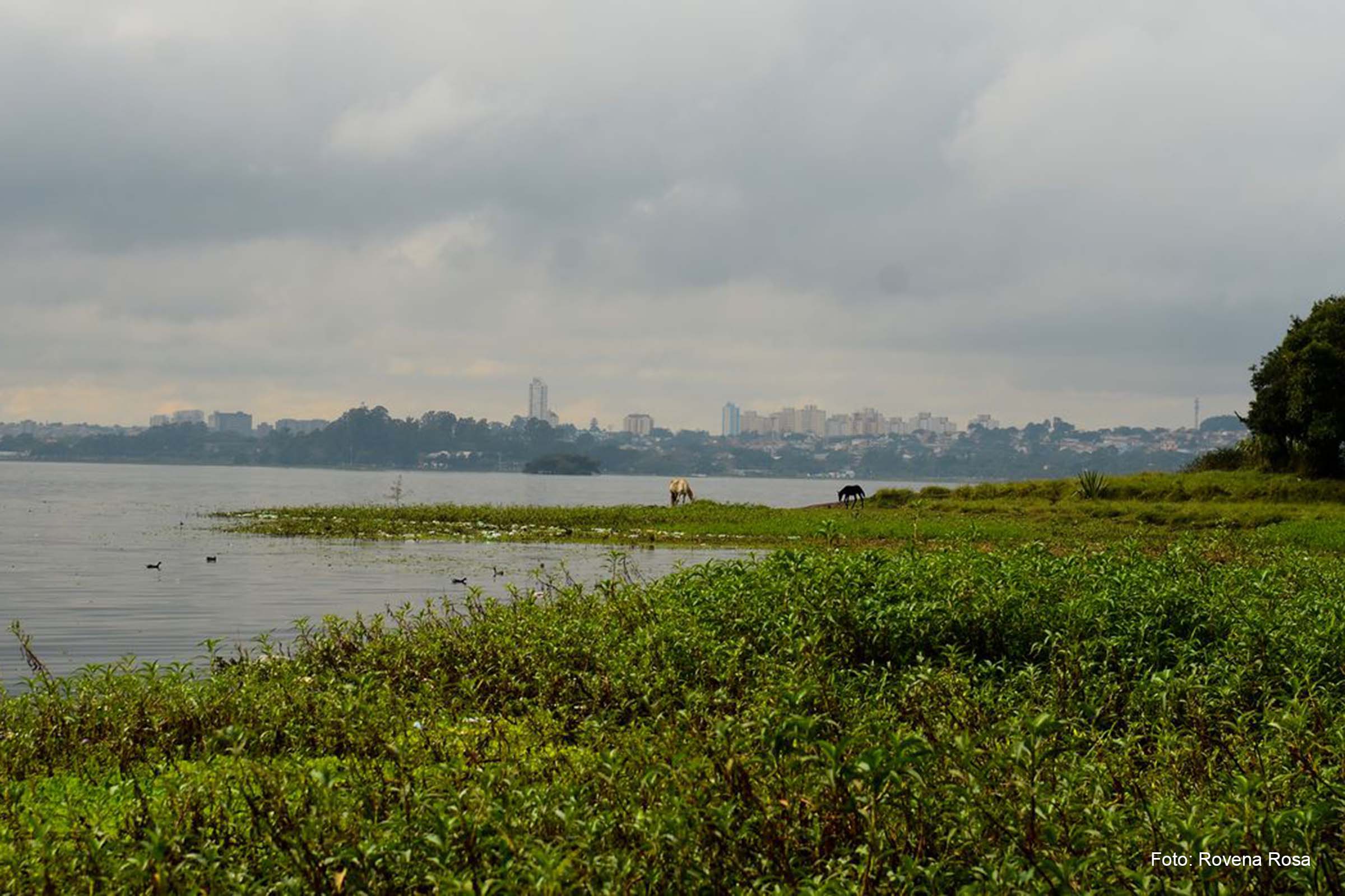 Investimentos para recuperação do patrimônio ambiental dos parques, caminhos, edificações, mobiliário e sinalização terão que ser realizados nos primeiros 48 meses.