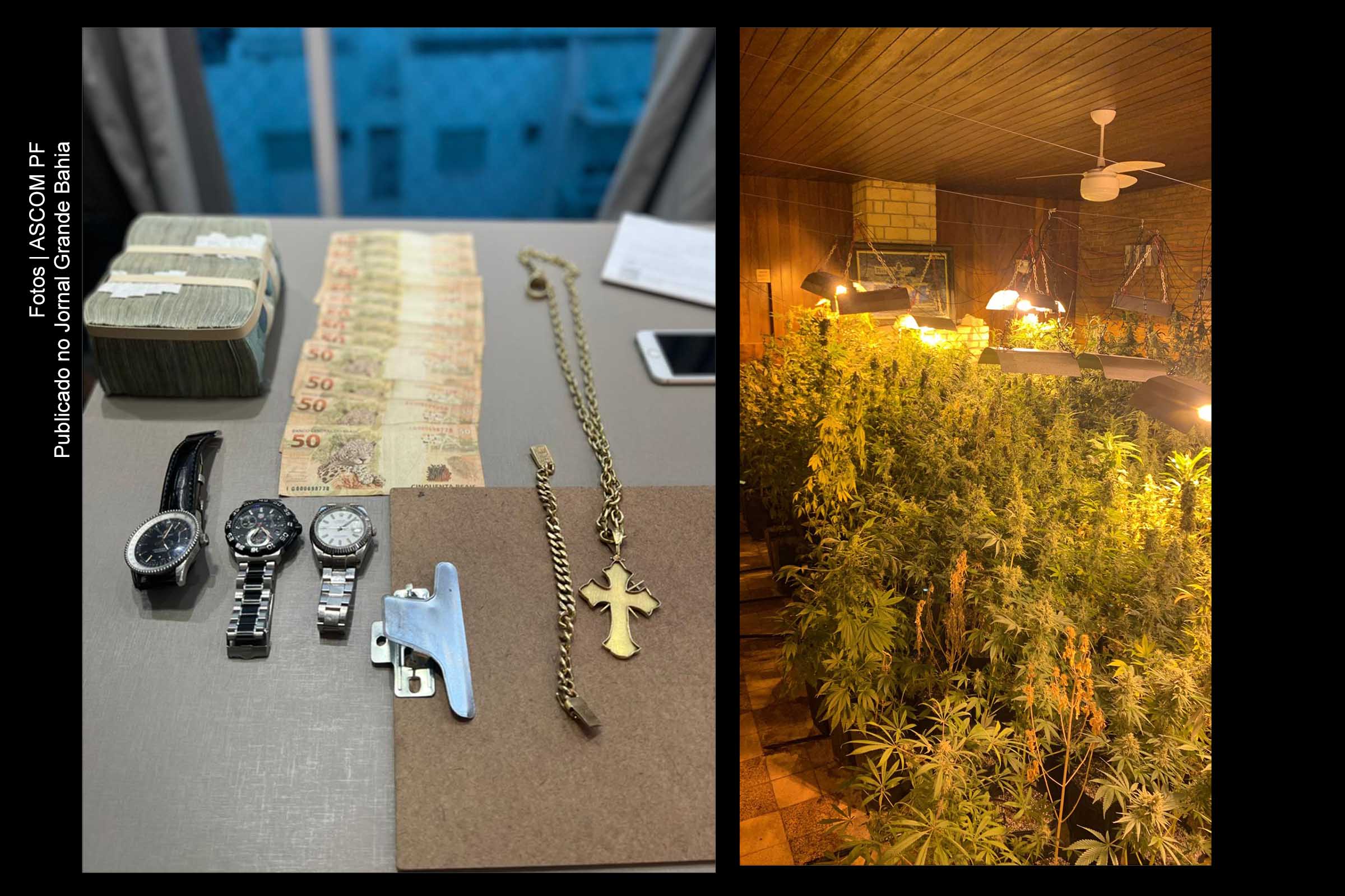 Policiais cumprem 11 mandados durante terceira fase da Operação Olossá.