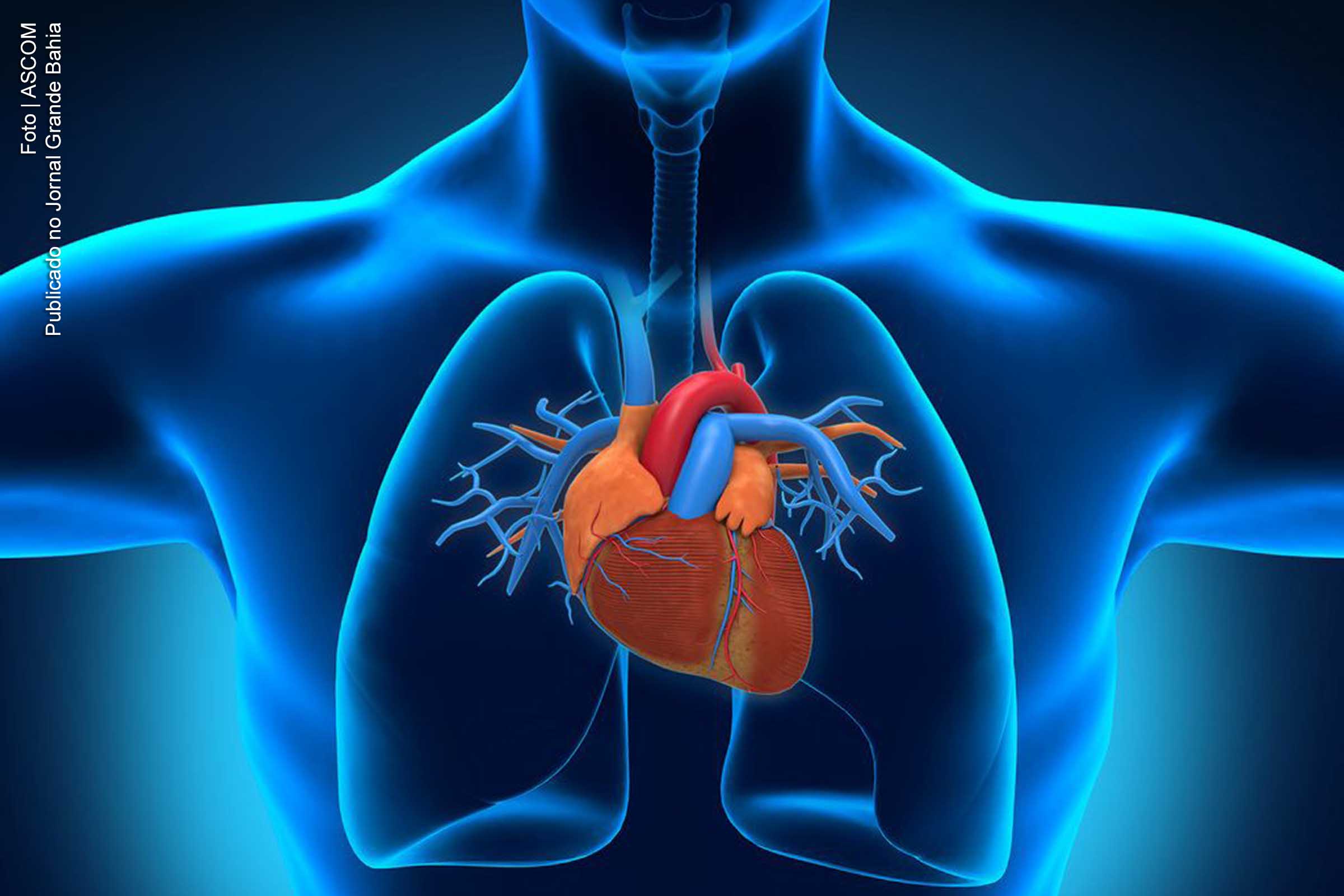 Cerca de 14 milhões de brasileiros possuem alguma enfermidade no coração segundo dados da Sociedade Brasileira de Cardiologia (SBC).