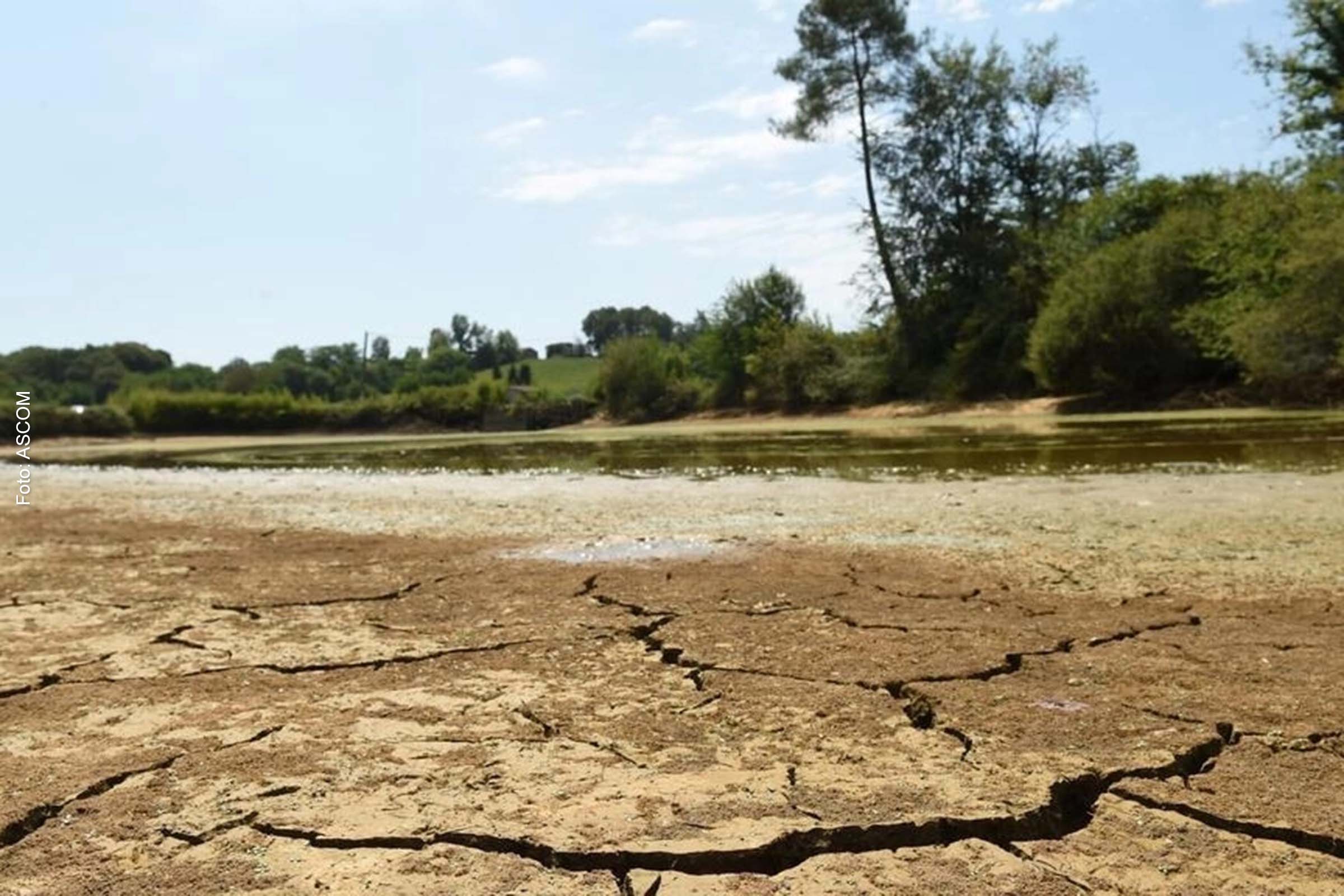 Lagoa parcialmente seca perto de Montfort en Chalosse, no sudoeste da França.