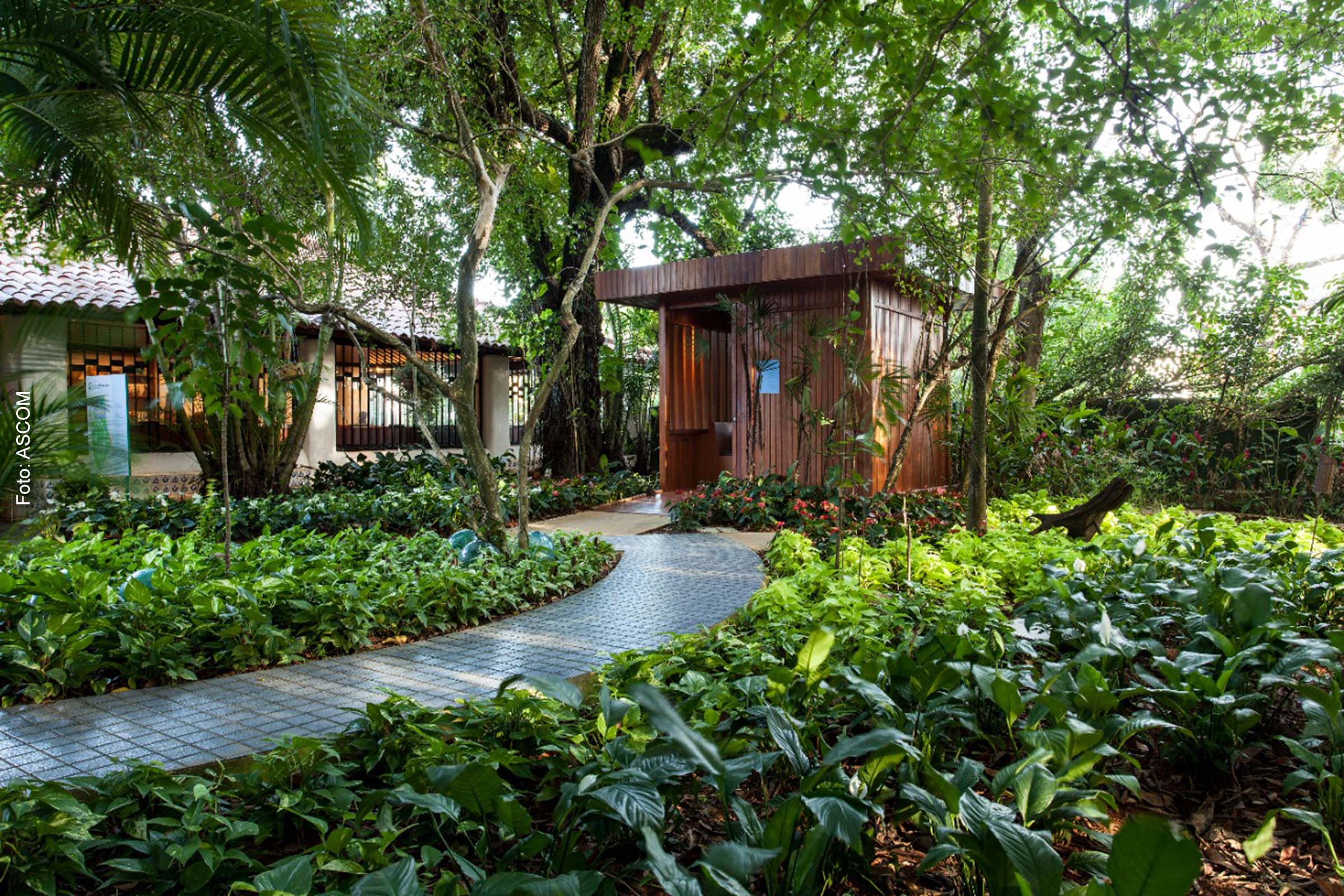 Jardim que margeia a Casa do Rio Vermelho e guarda as cinzas dos escritores Jorge Amado e Zélia Gattai vai ser reinaugurado nesta terça-feira (20/09/2022).