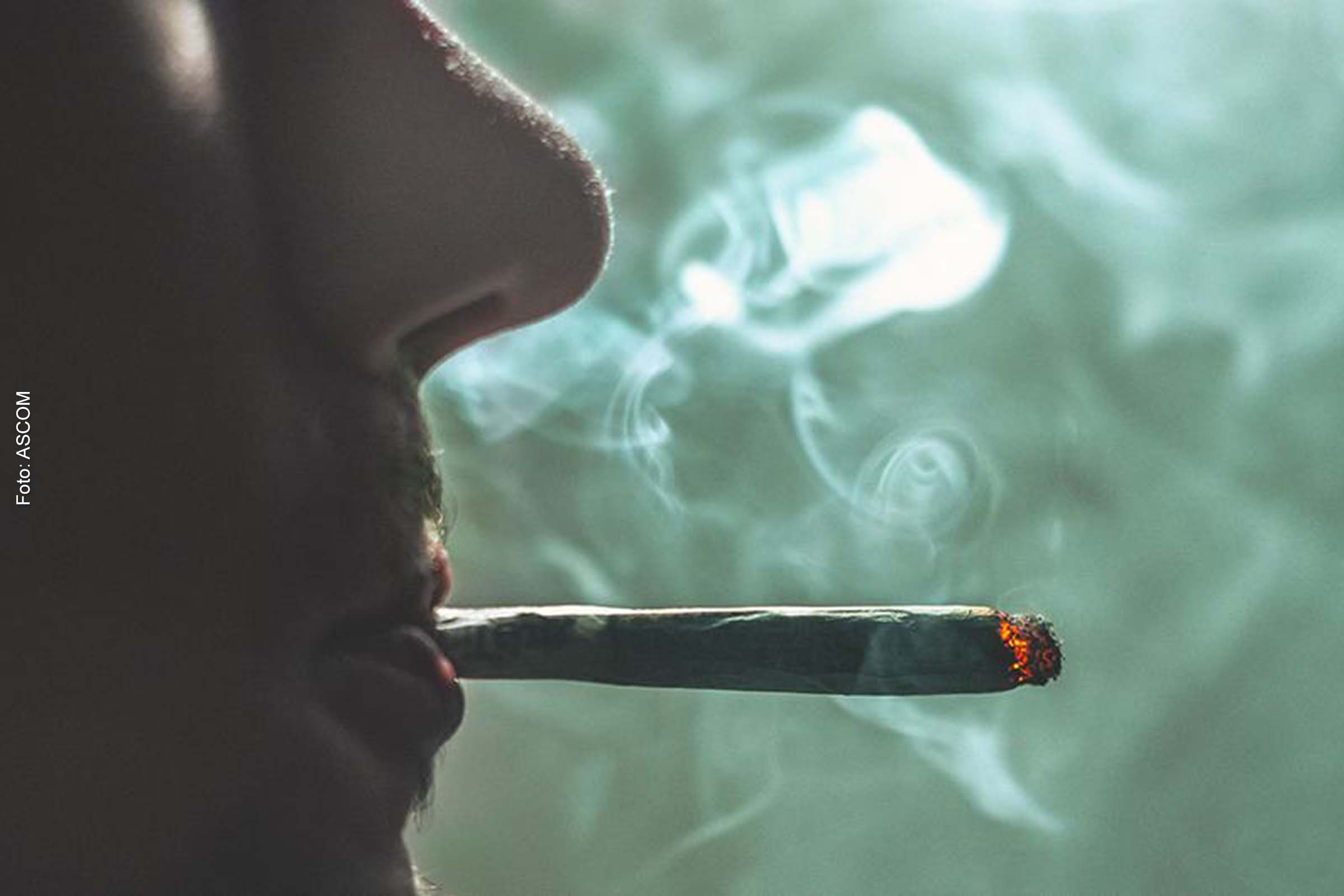 Fatores como tabagismo provocam mais de 8 milhões de mortes a cada ano.