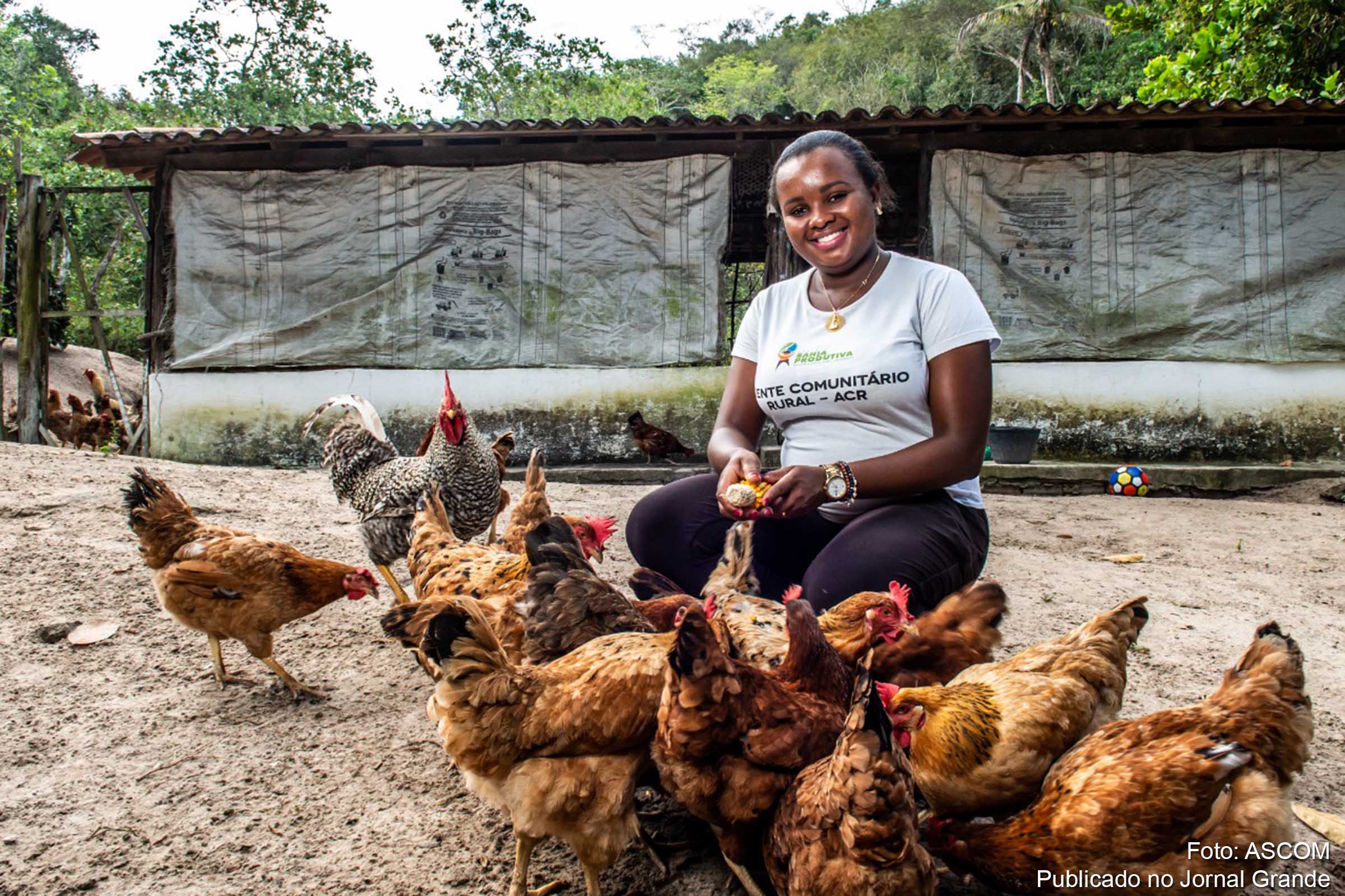Bahia contará com nova operação financeira de US$ 150 milhões para aplicar na agricultura familiar, diz Governo Rui Costa