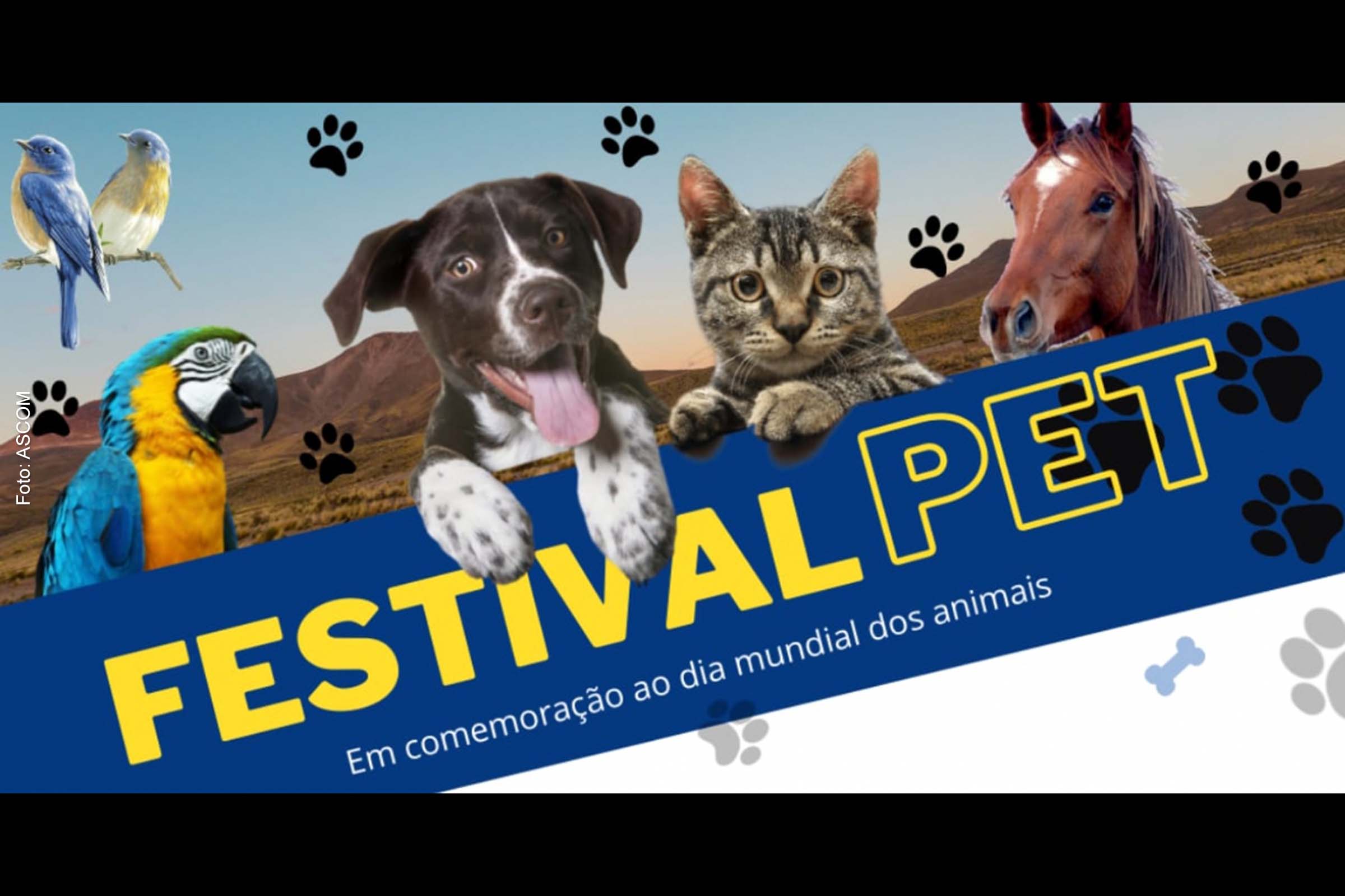 'Festival Pet' acontece no dia 15 de outubro no Centro Universitário de Excelência (UNEX), no bairro SIM.