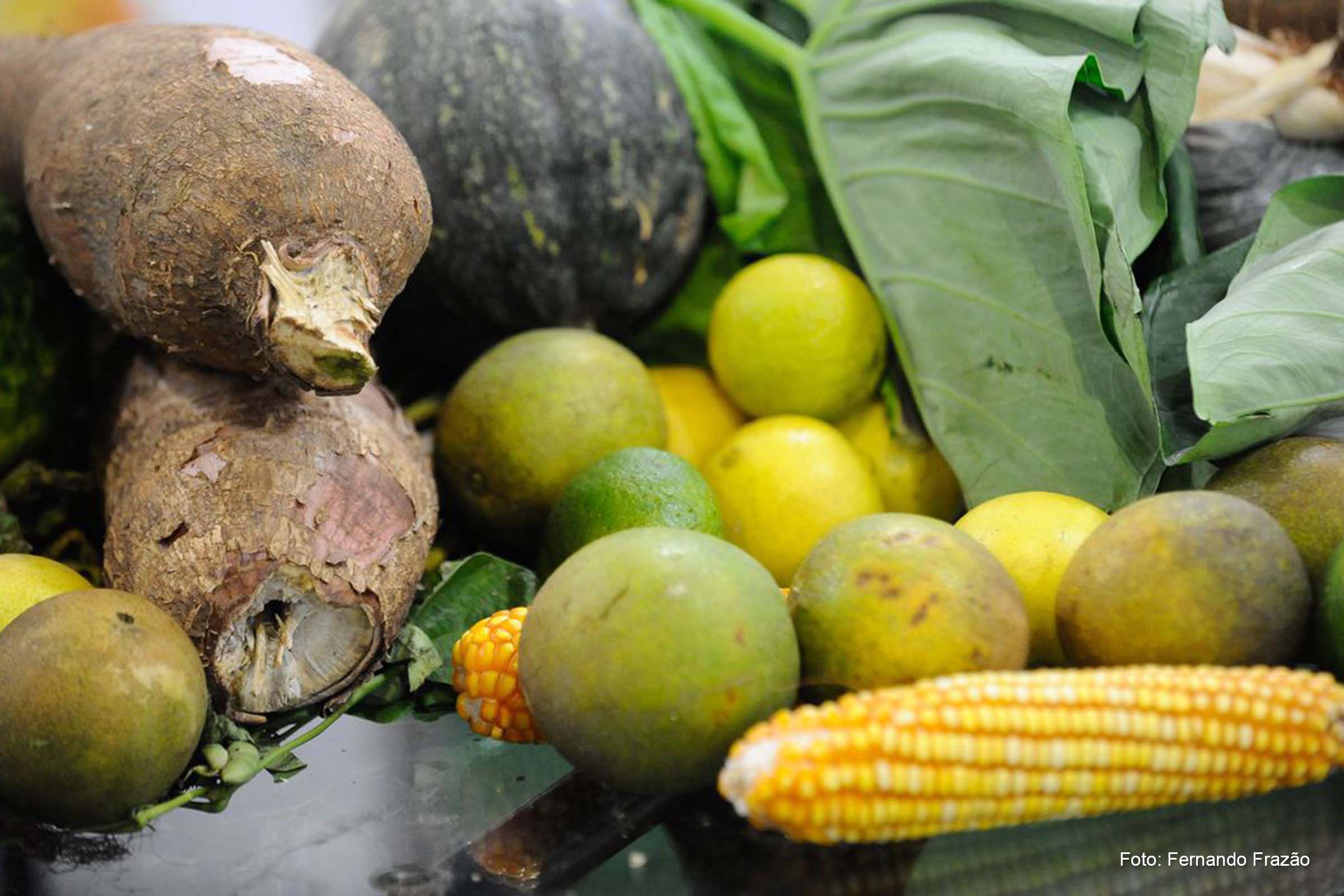 A escolha por alimentos saudáveis e sustentáveis ocorre apesar da percepção de quase a totalidade dos entrevistados (98%) de que o preço nos supermercados está mais caro.