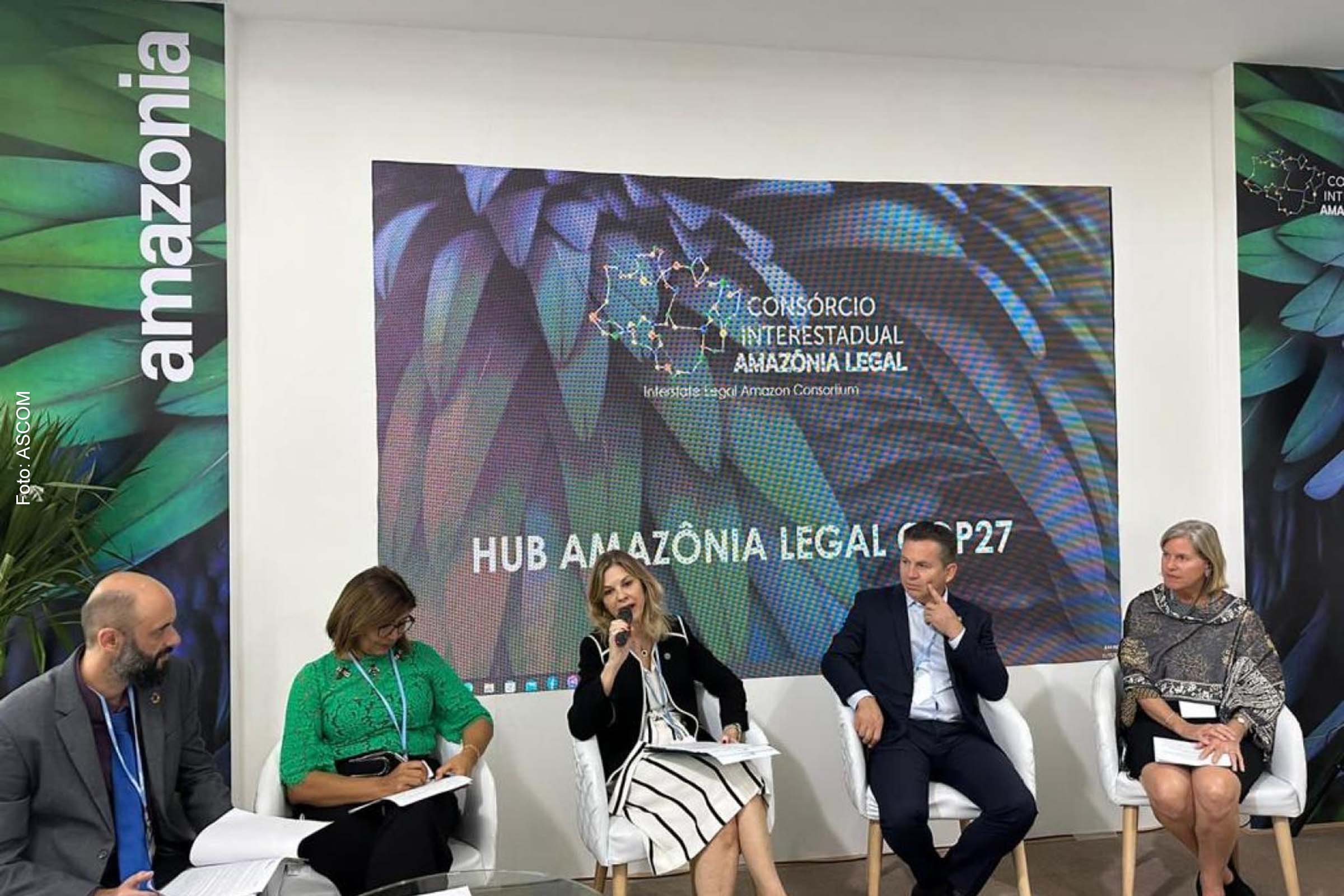 ONU e Consórcio da Amazônia Legal anunciam criação de fundo para o desenvolvimento sustentável da região.