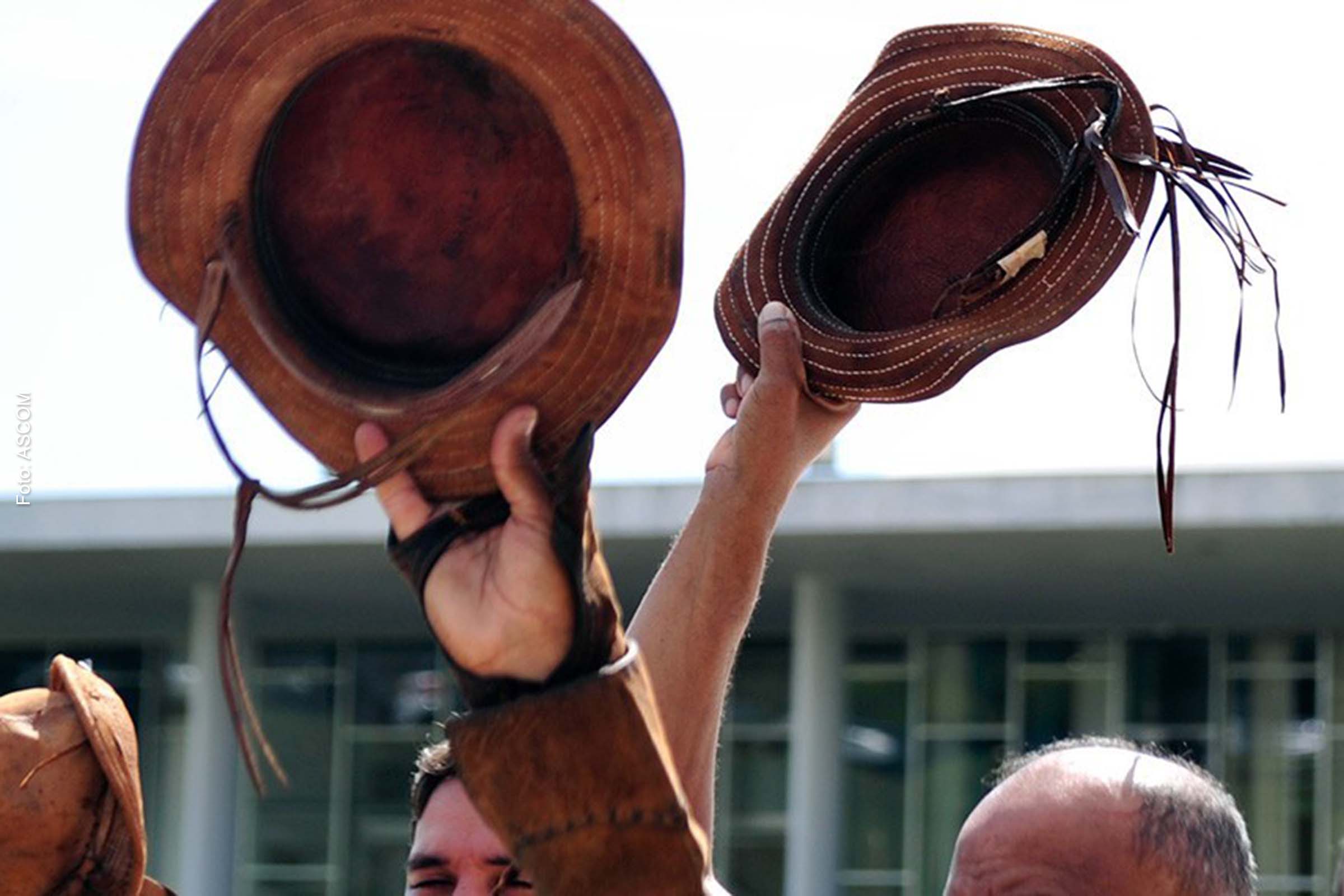 Projeto de Lei é aprovado no Senado e institui o ‘Dia Nacional do Nordestino’