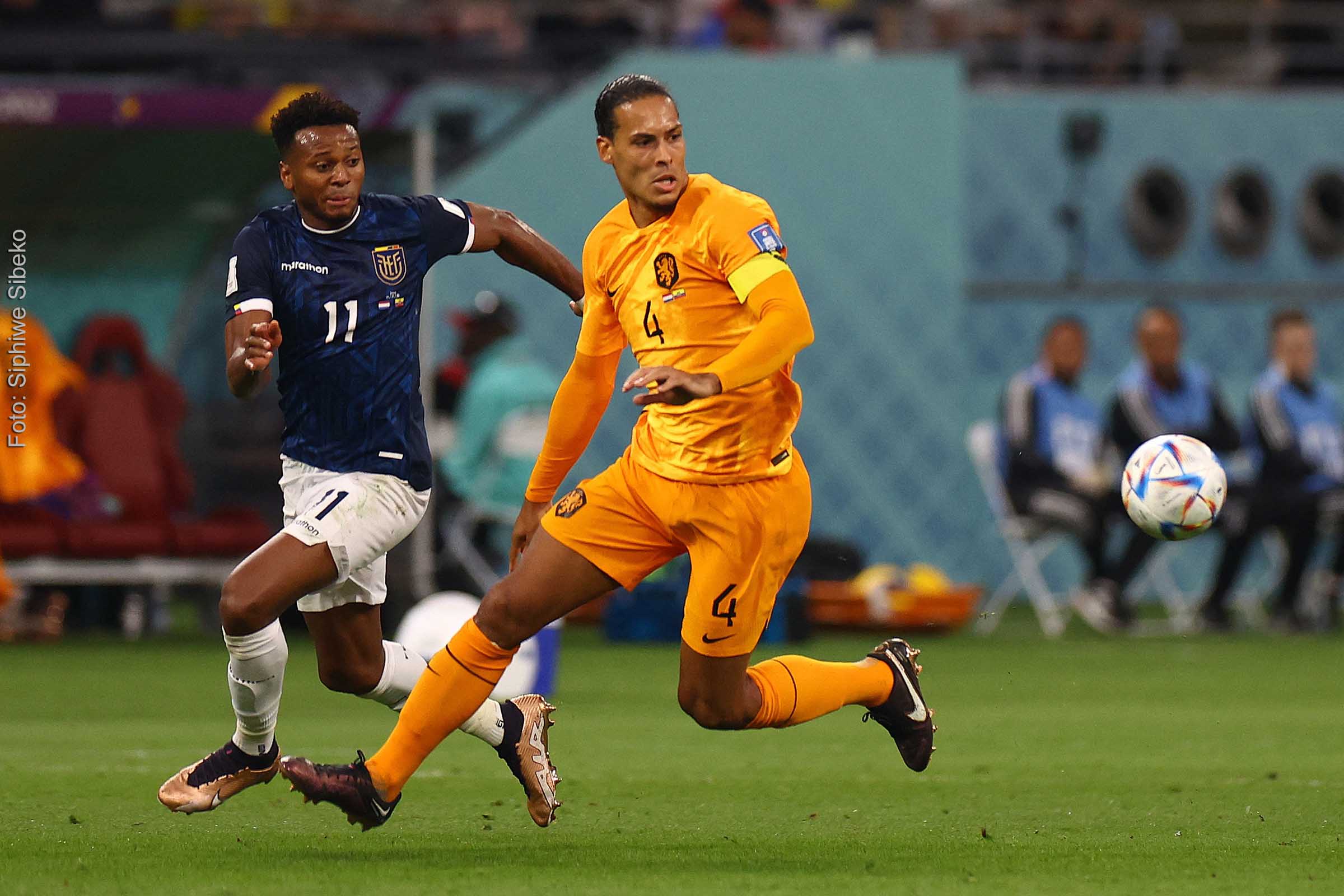 Holanda e Equador empatam e dividem liderança do Grupo A da Copa; Gakpo abre o placar para a Laranja, mas Enner Valencia iguala