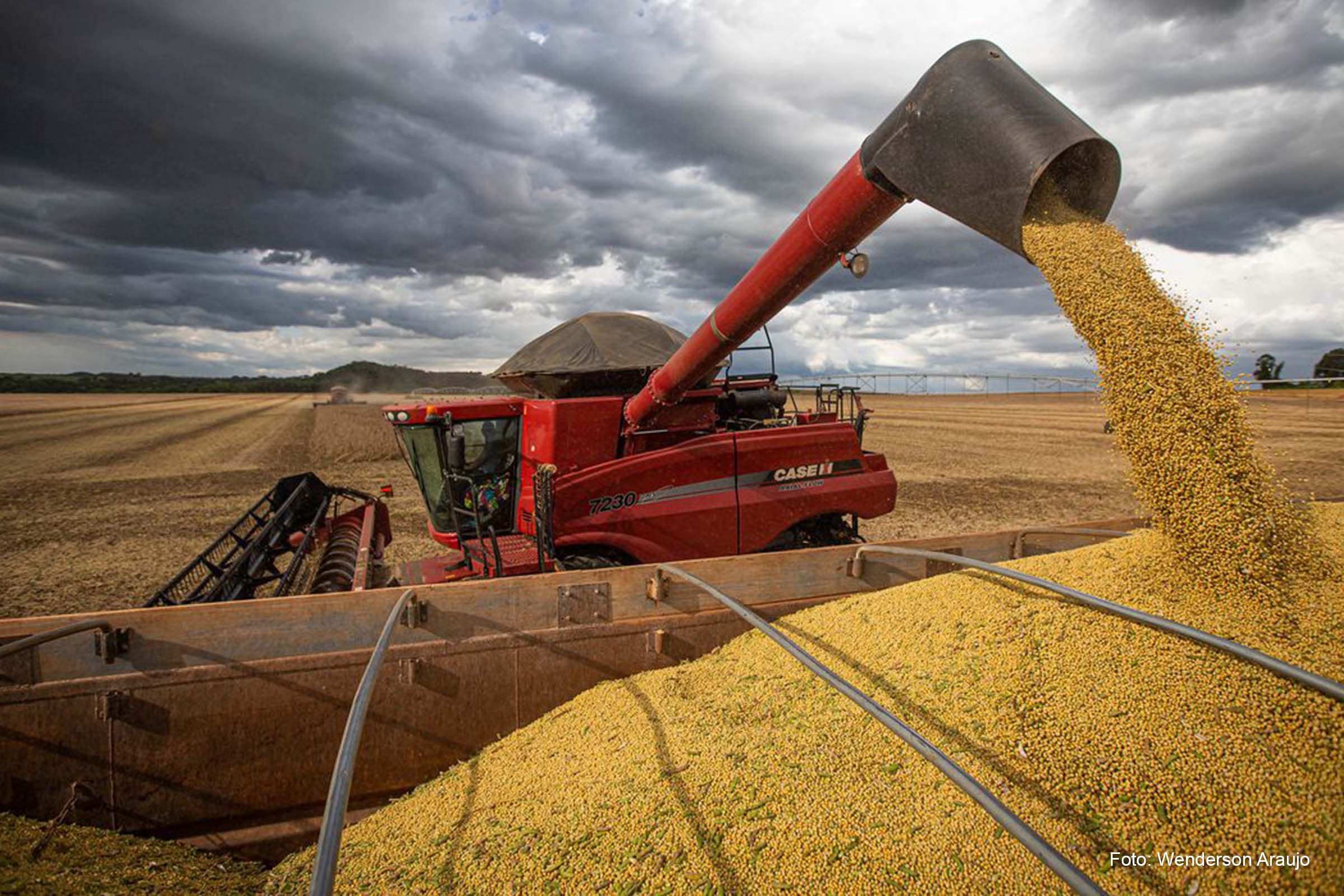 O volume recorde deverá ser puxado pela maior produção prevista para a soja (19,1%), milho 1ª safra (16,8%) e algodão herbáceo em caroço (2%).