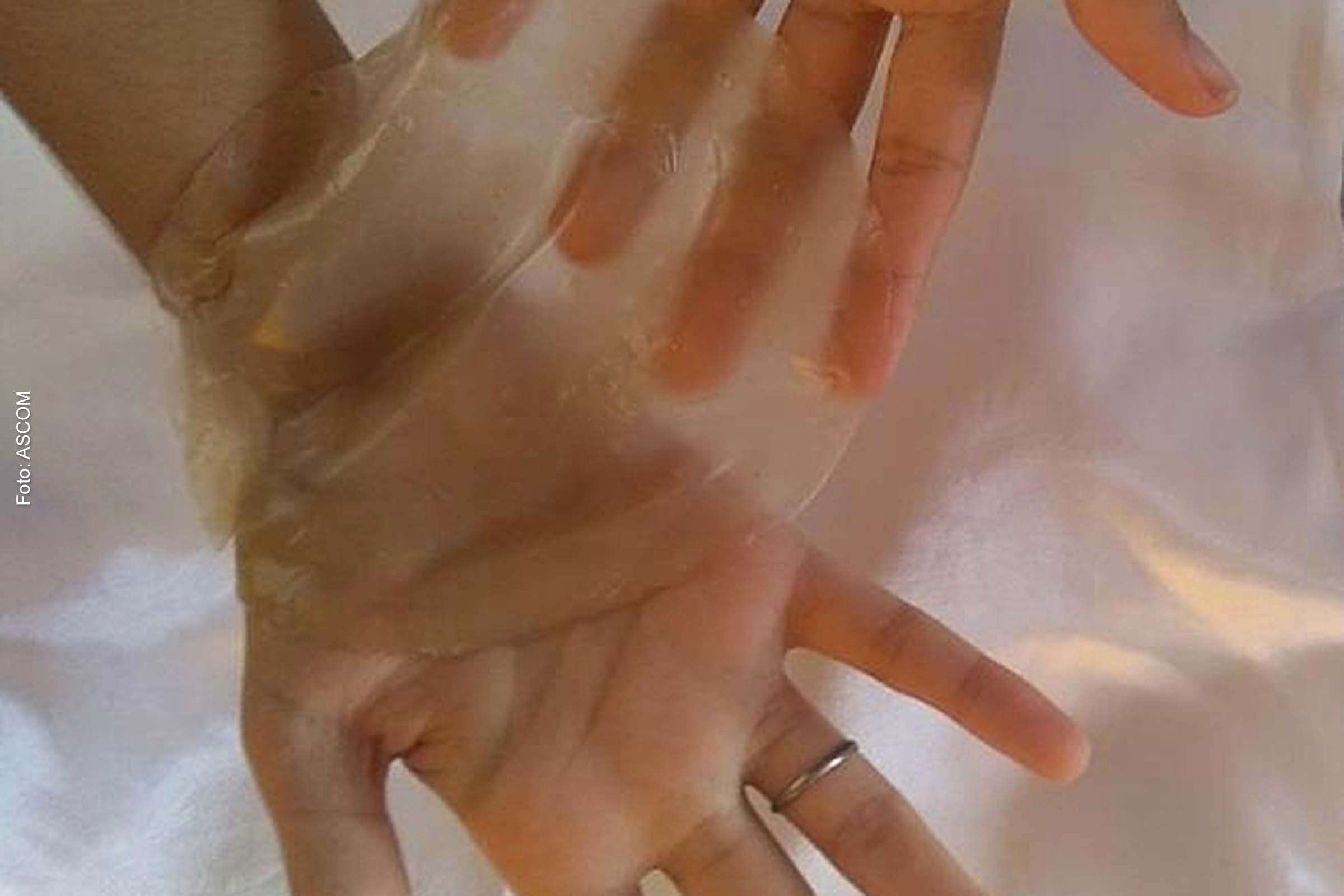 Amido retirado da taboa é usado para fabricar o produto biodegradável.