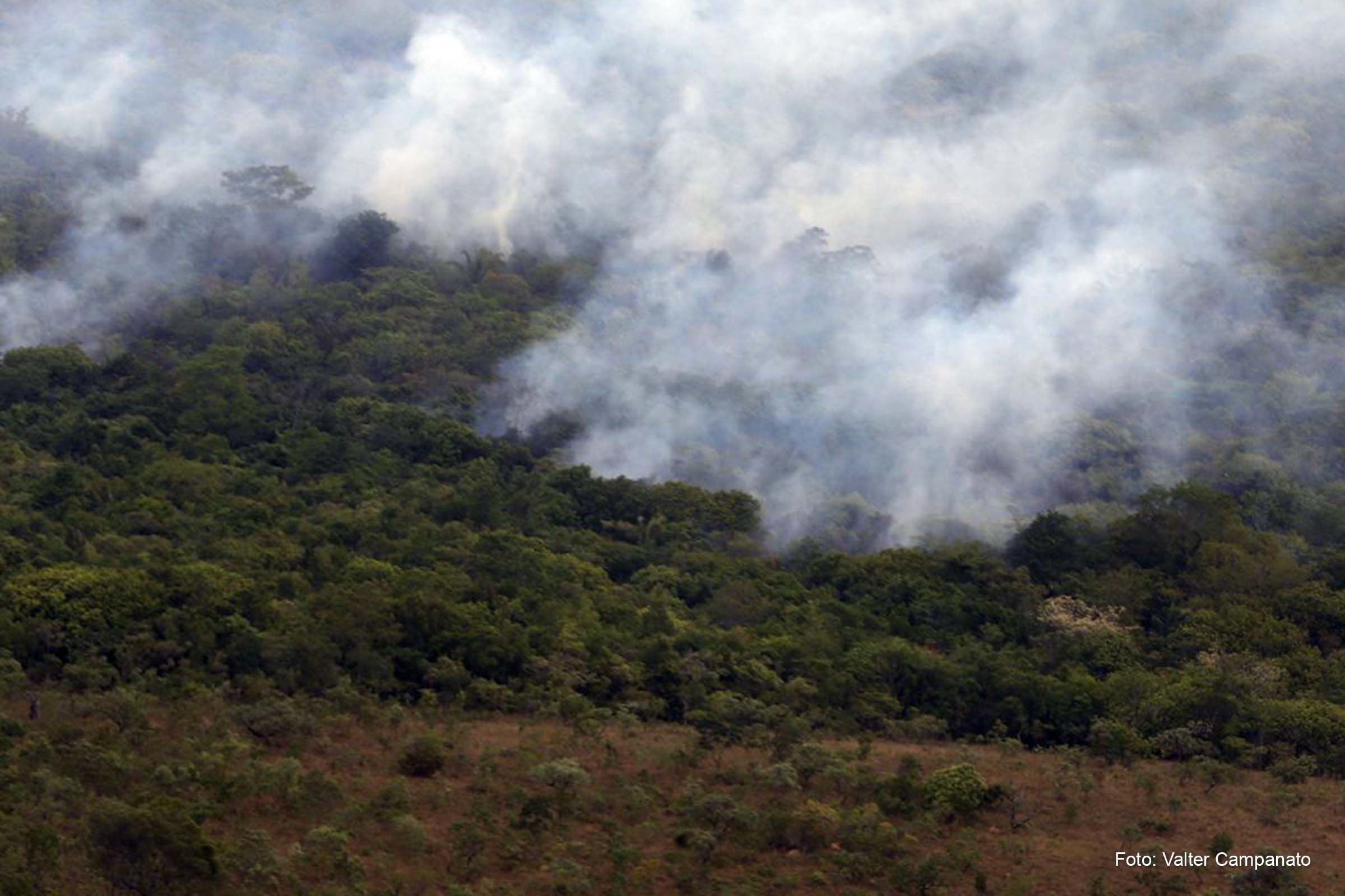 Mercado de crédito de carbono esteve no centro dos principais debates na 27ª edição da COP 27, realizada pela ONU, no Egito.