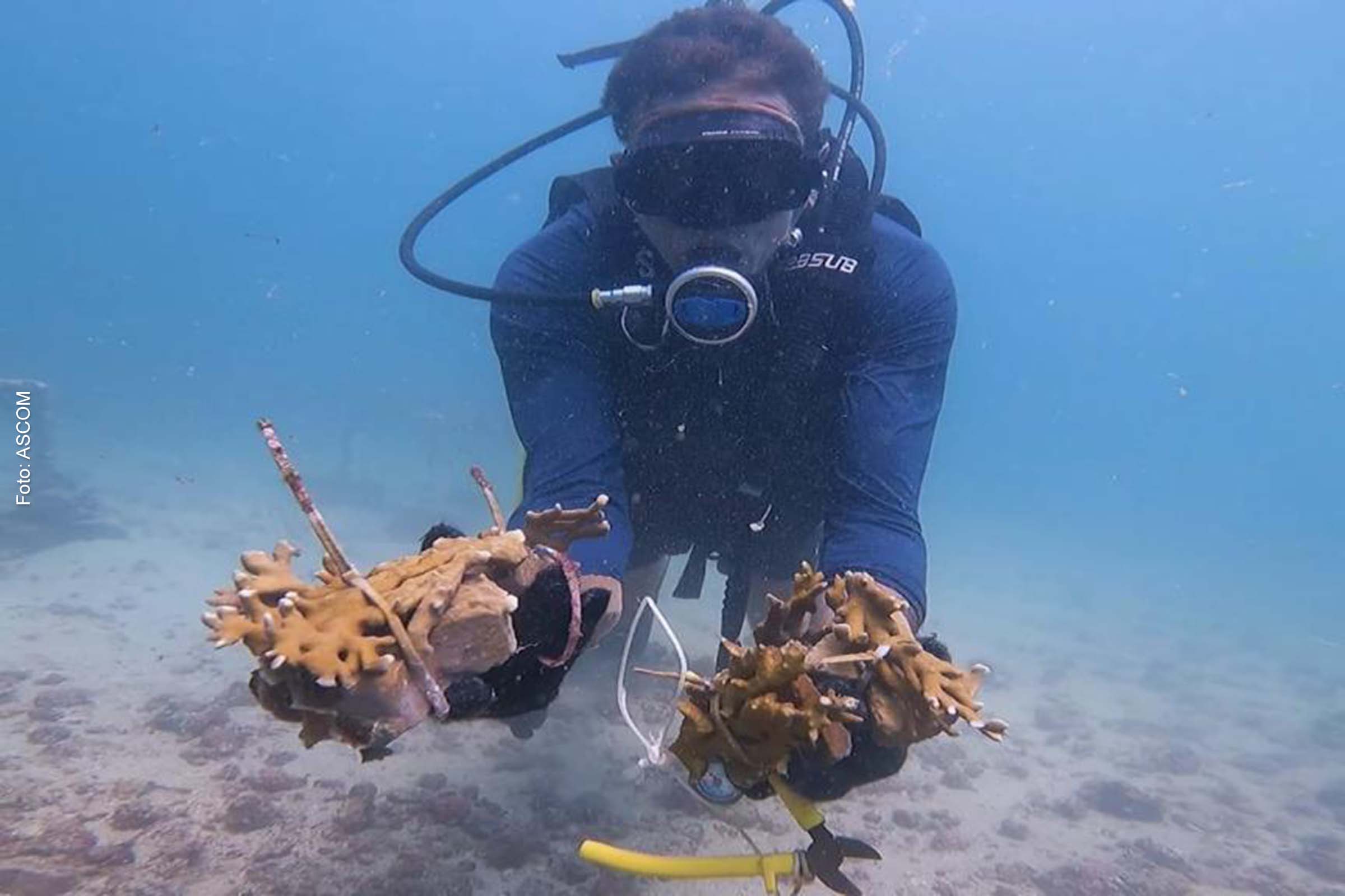 Baía de Todos-os-Santos: ‘II Fórum de Pesca Artesanal’ do Projeto ‘Corais de Maré’ apresenta tecnologias de conservação do meio ambiente
