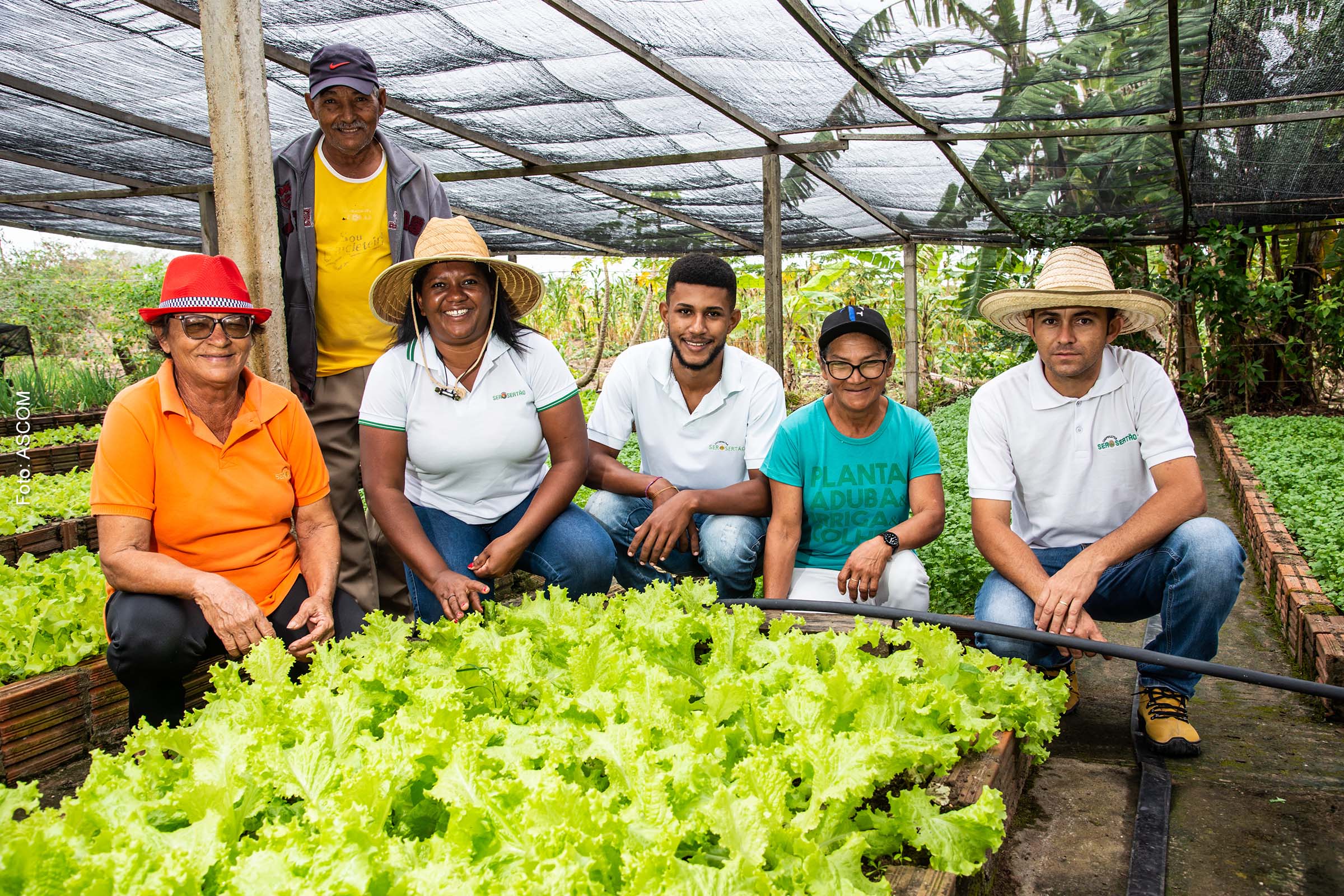 Além do projeto em Pintadas, o Bahia Produtiva executa outros três projetos-pilotos nessa modelagem nos municípios de Valente, Cansanção e Jeremoabo, beneficiando, no total, 255 famílias.