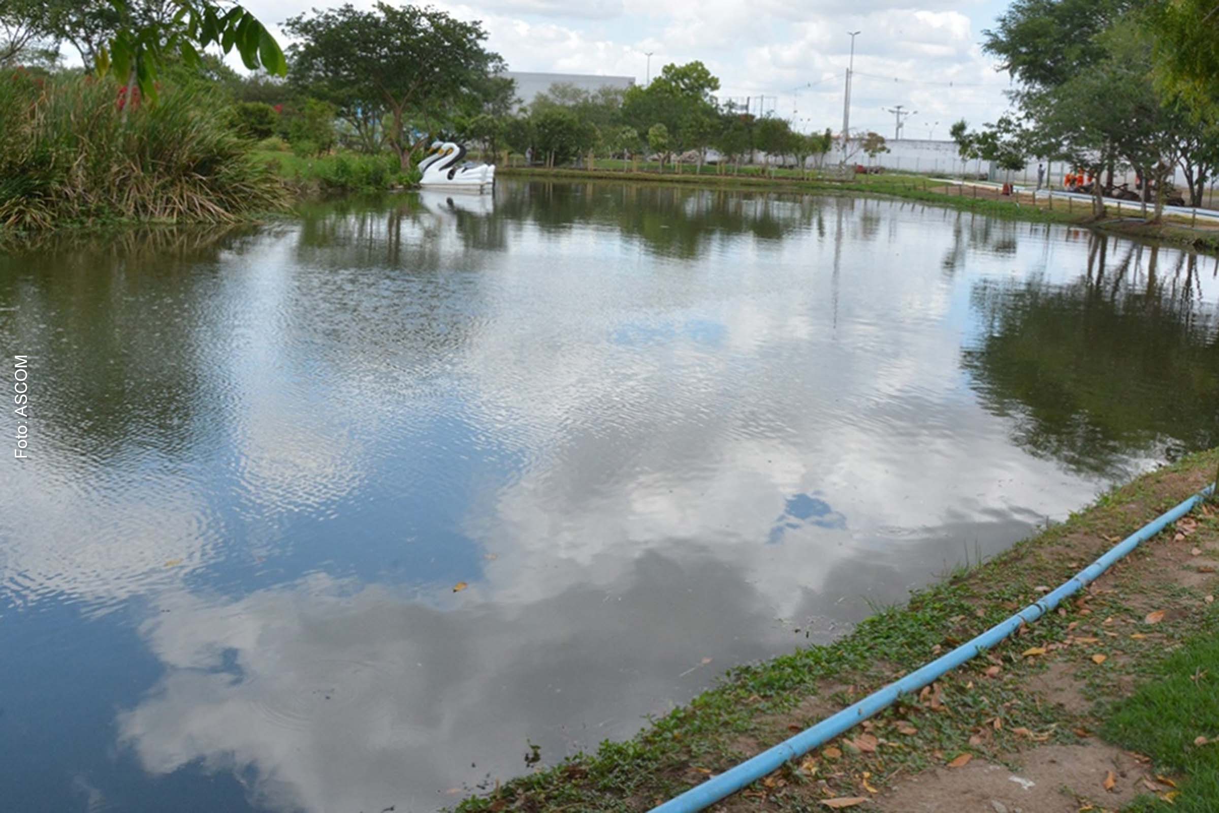 O resultado foi atestado pelo Laboratório Central de Saúde Pública da Bahia (Lacen), após análise de duas amostras de água da lagoa.