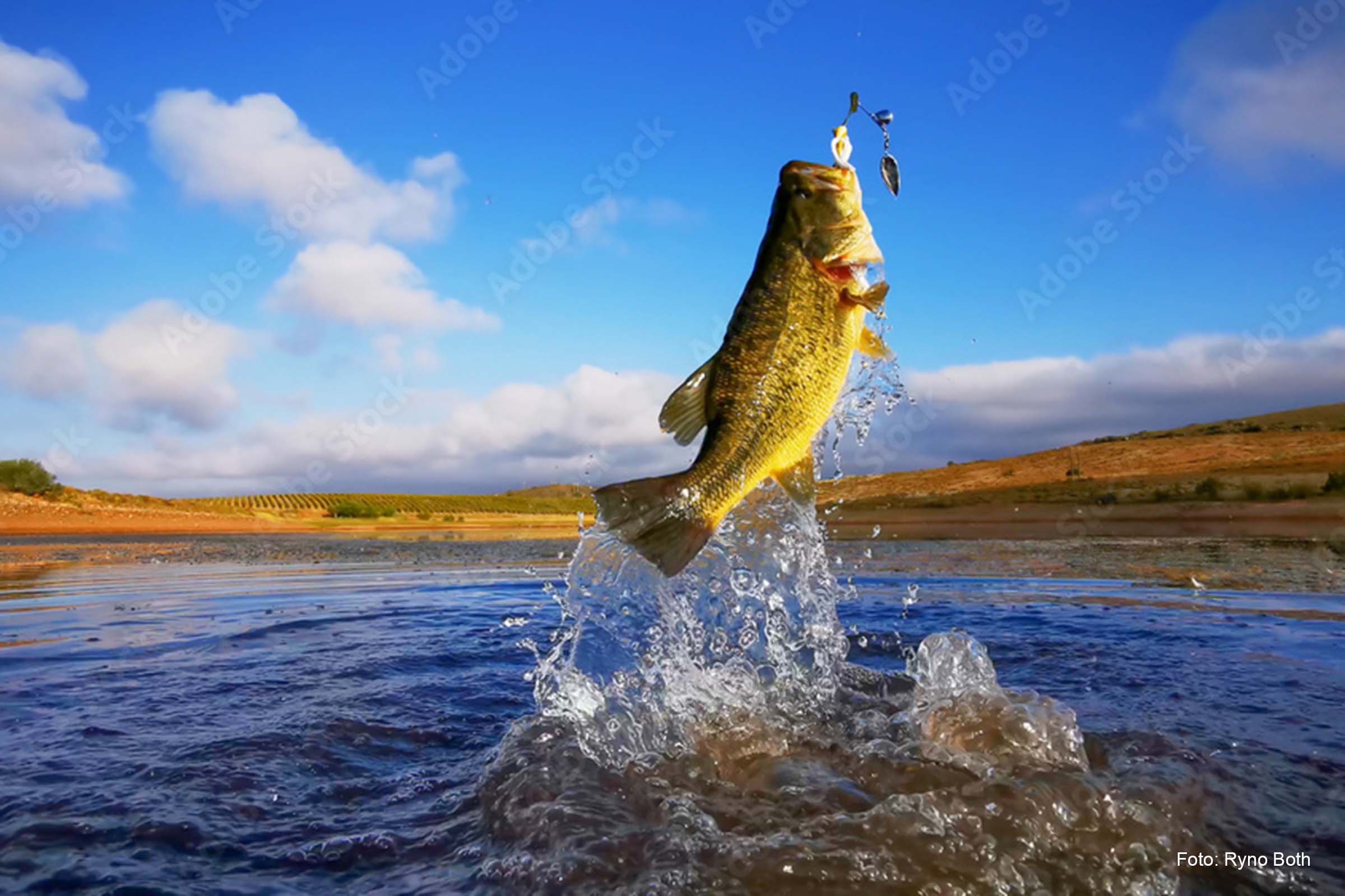Nos últimos anos o turismo de pesca, conhecido como Pesque e Solte, tem movimentado um mercado milionário no país.