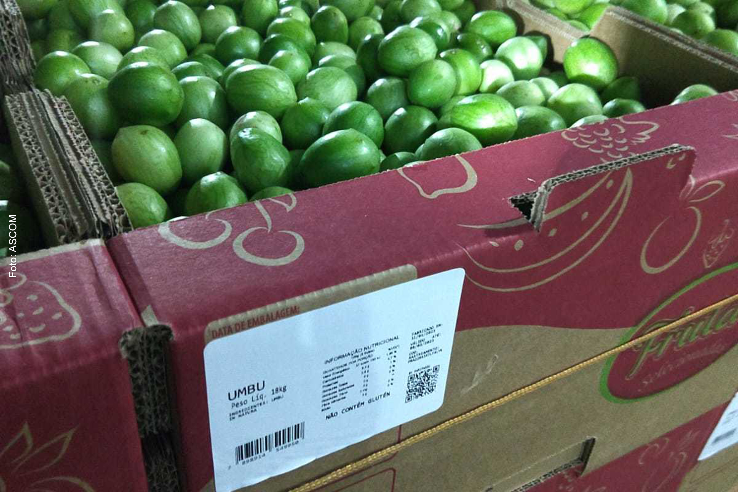 Os produtos serão comercializados em todas as lojas da rede Carrefour de supermercado na região Nordeste.