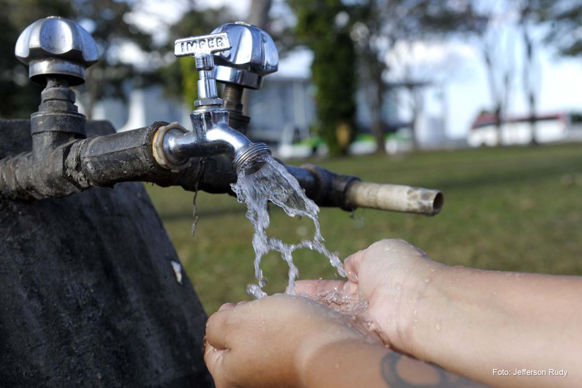 A ação vai contar com atividades educativas, distribuição de mudas e atendimento ao público.