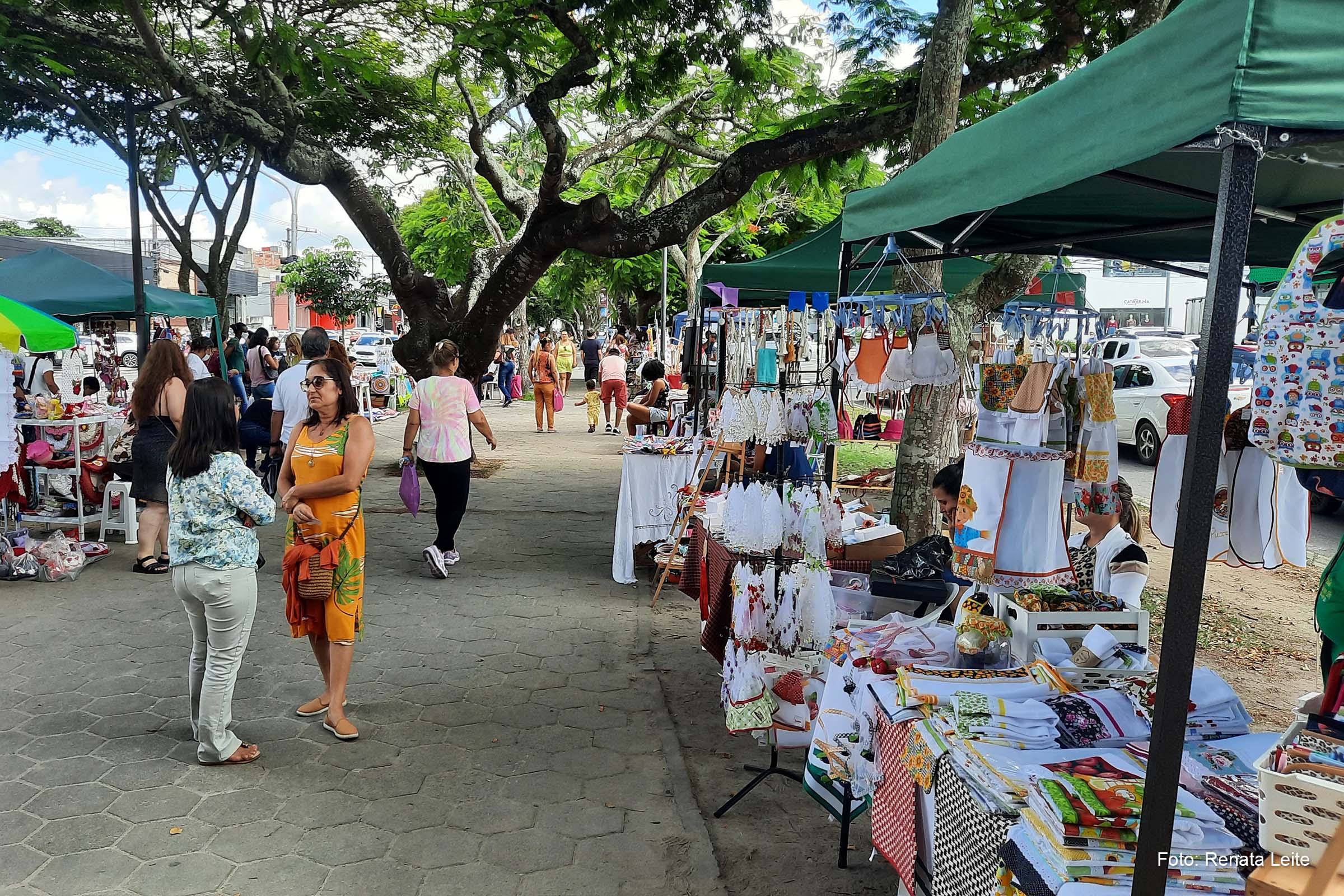 Na exposição, é possível encontrar artigos criativos e feitos à mão, como panos de pratos e crochê, plantas, peças em madeira, livros, imãs, moedas antigas e chaveiros.