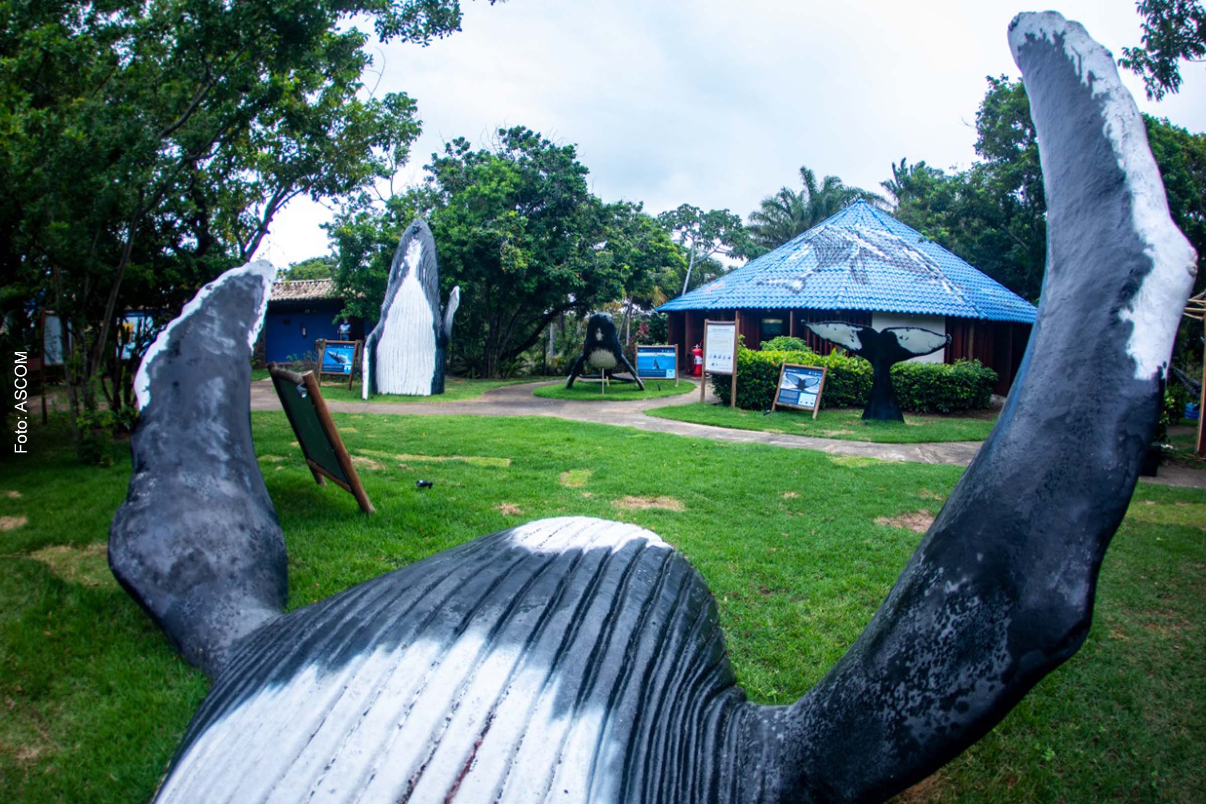 De 4 a 7 de maio de 2023, a FLIPF vai reunir na Praia do Forte autores, pesquisadores, artistas, estudantes, turistas e comunidade em torno do livro.