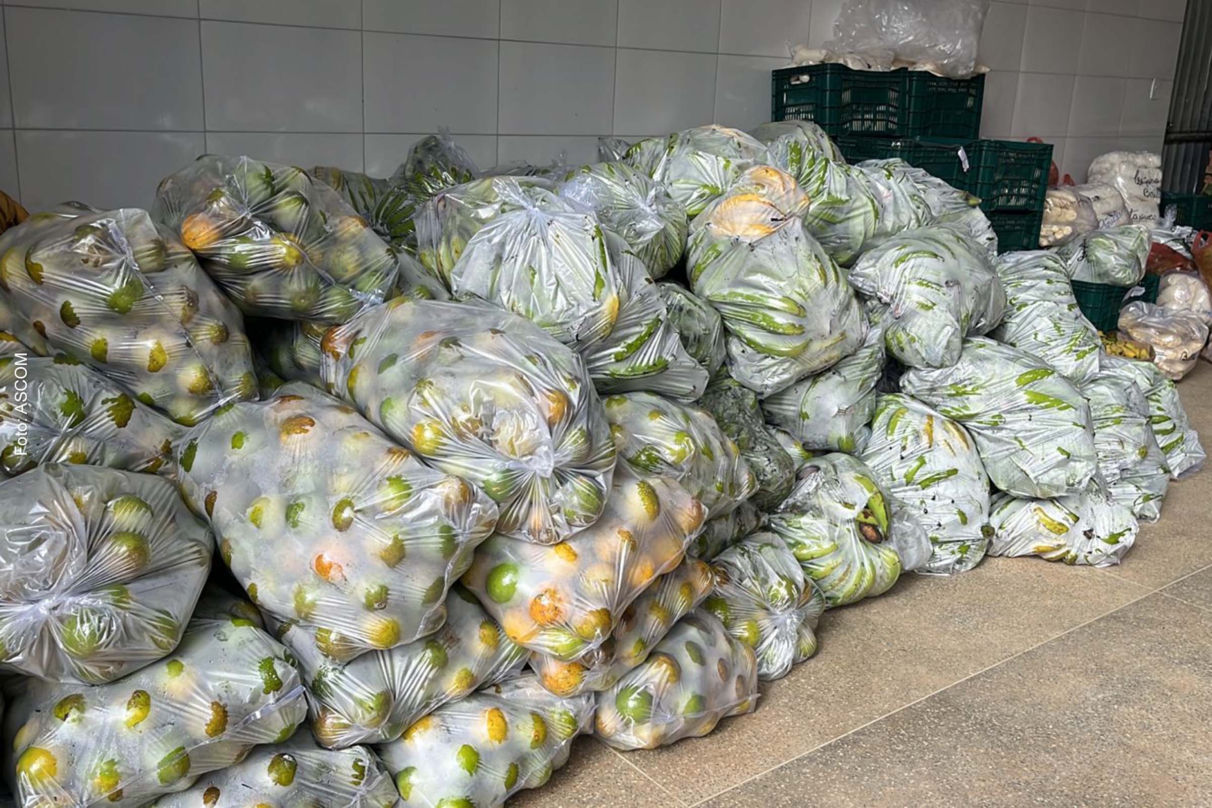 Membros da agricultura familiar do Recôncavo da Bahia entregam produtos para alimentação escolar