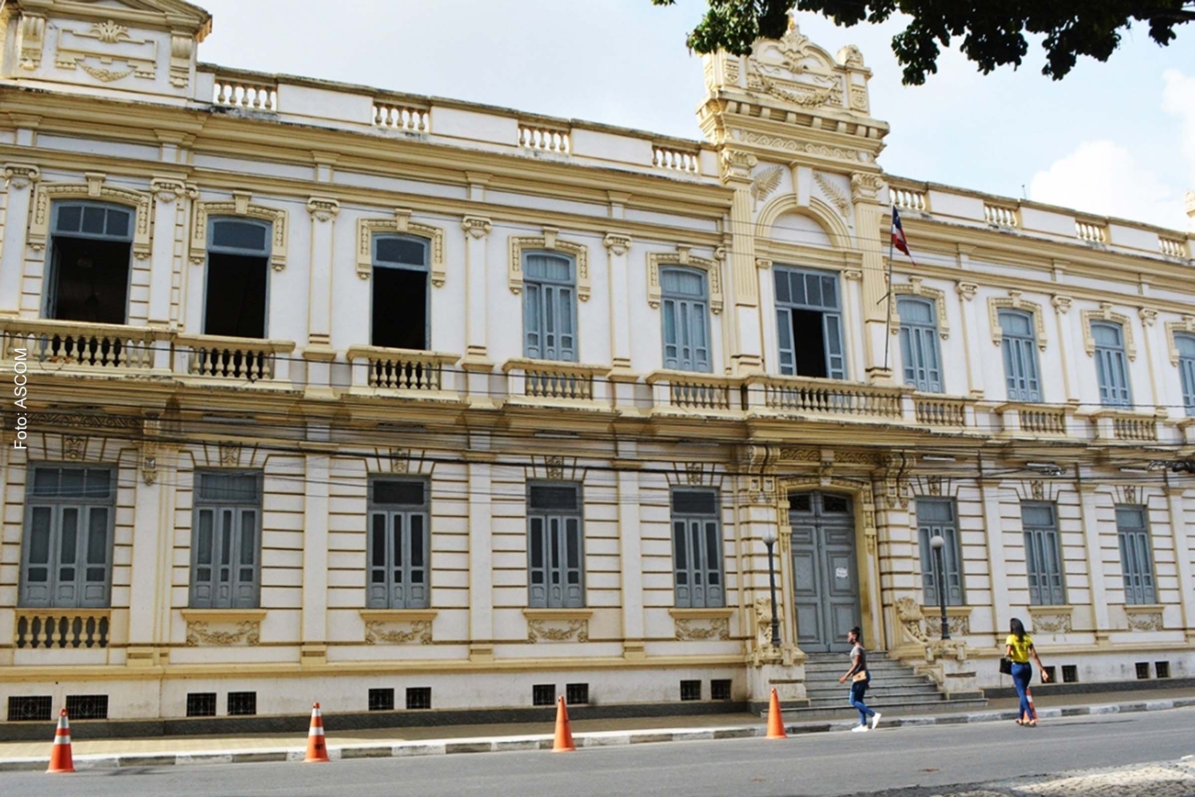 Aprovada em plenário no dia 1 de março de 2023, as Comissões Permanentes funcionarão conforme Regimento Interno do Conselho Municipal de Cultura.
