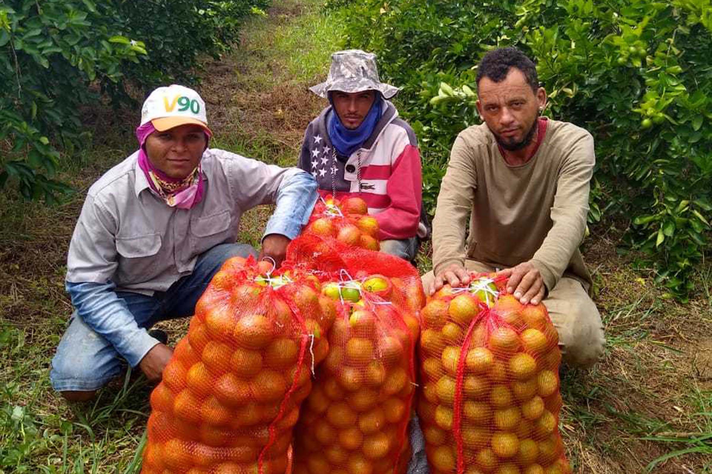 O Lagos do São Francisco é uma iniciativa da Companhia junto às comunidades ribeirinhas do Velho Chico que tem por objetivo estimular a produção pecuária e agrícola sustentável para as famílias da região.