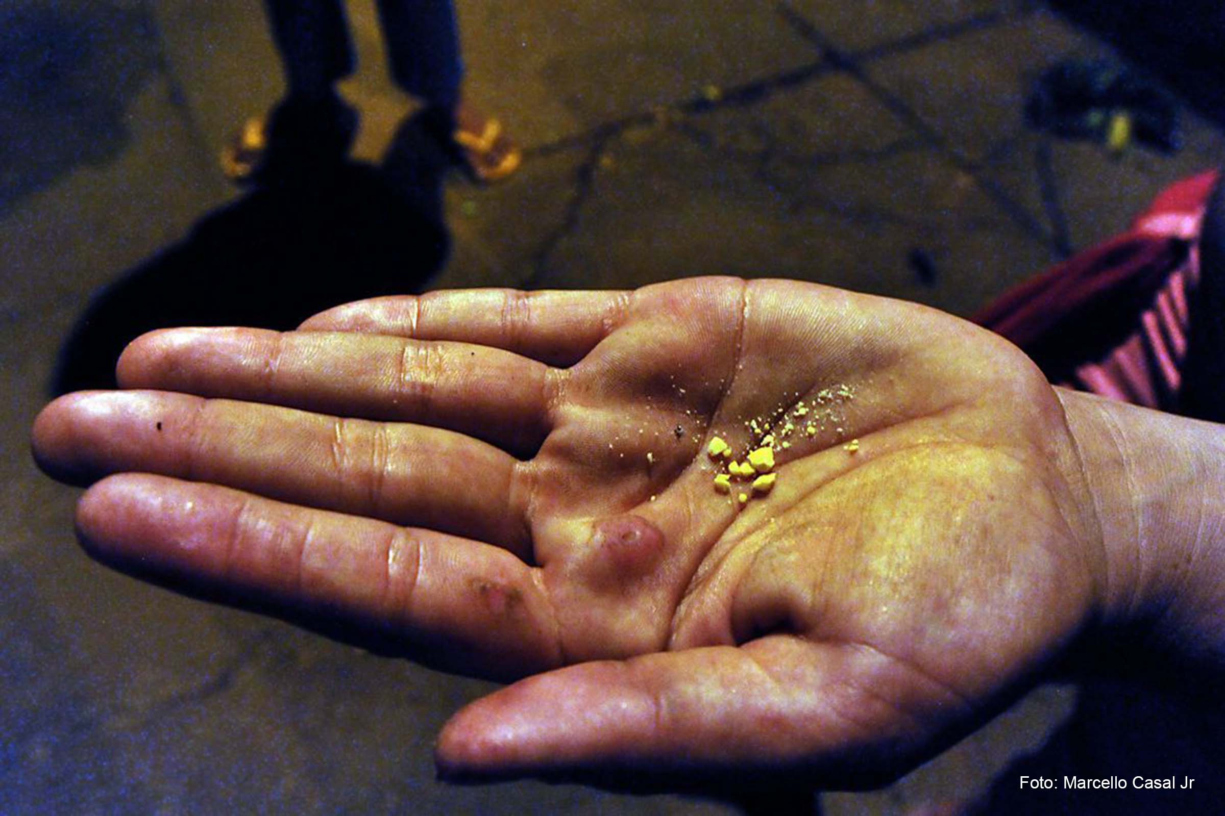 A violência de gênero é um elemento constante na vida das mulheres que usam drogas, principalmente o estupro e a violência sexual.