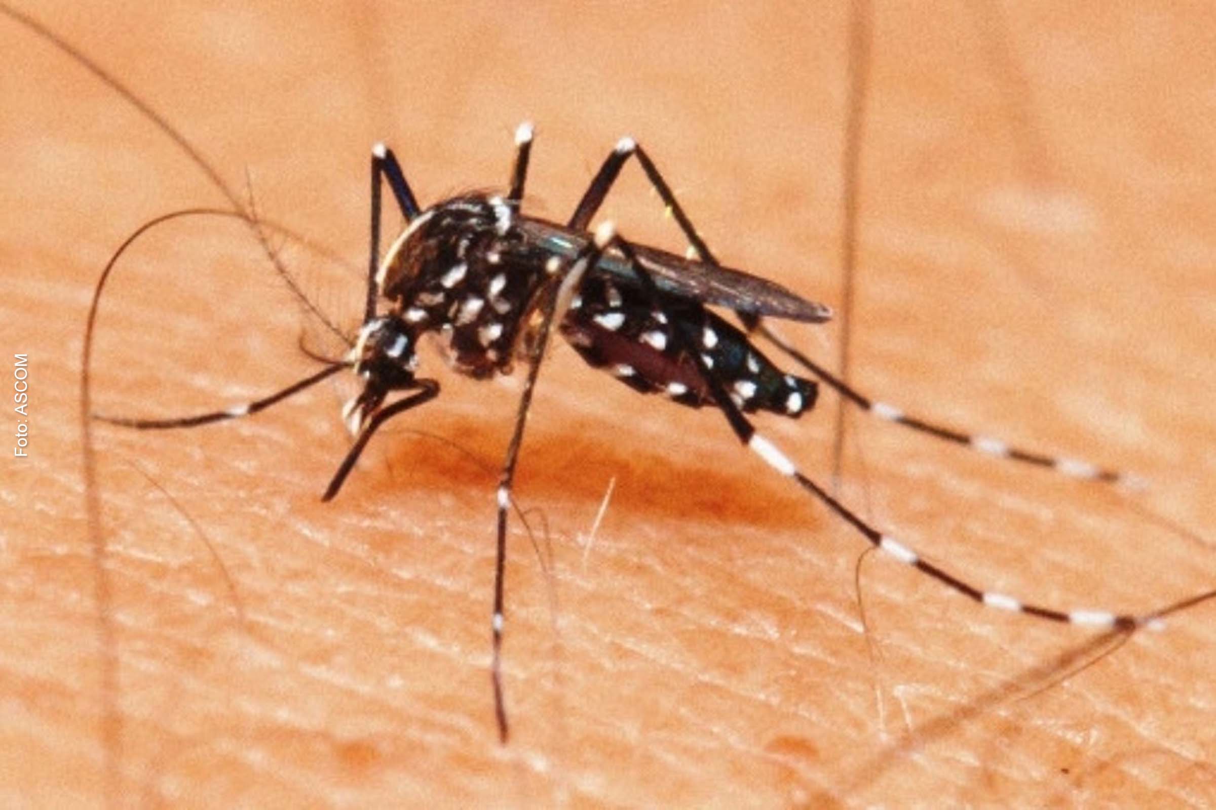 Do total registrado neste primeiro quadrimestre, 31 casos correspondem ao mês de janeiro, 53 a fevereiro, 71 a março e 28 a abril.