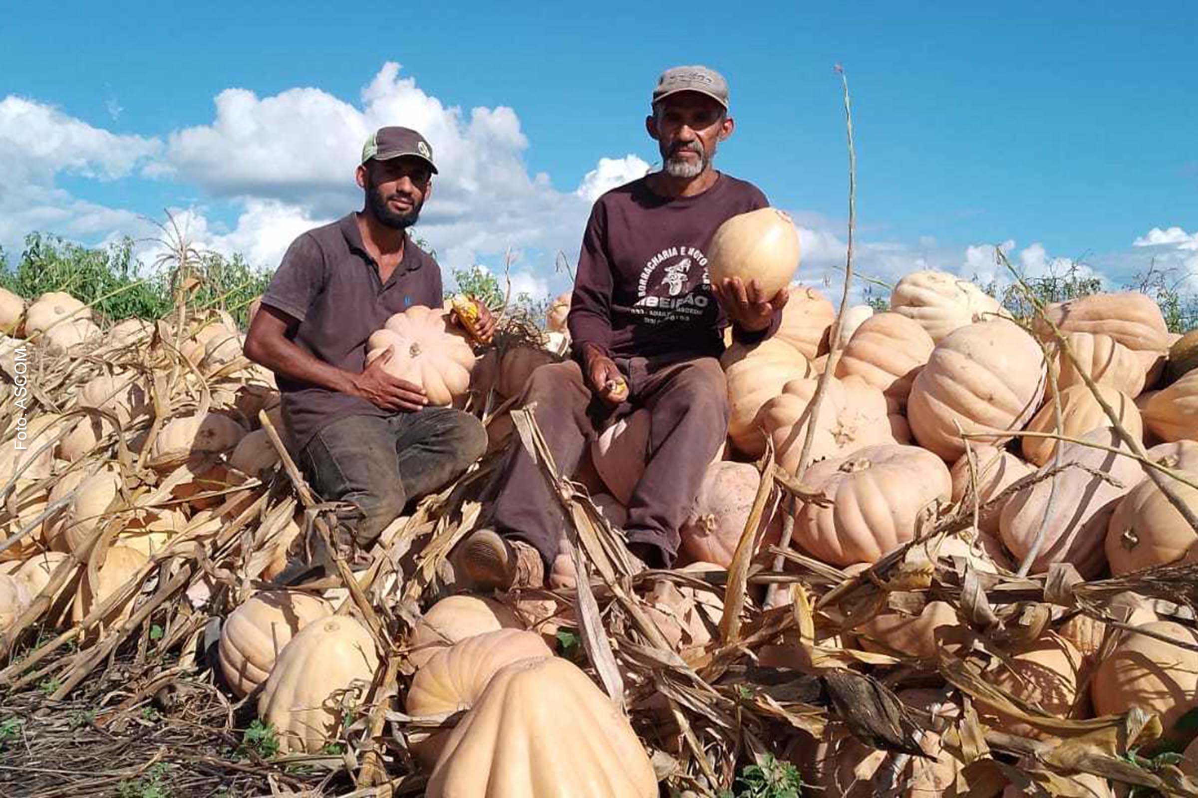 Agricultores familiares de Campo Alegre de Lourdes acessam mais de R$ 600 mil em vendas para o PNAE