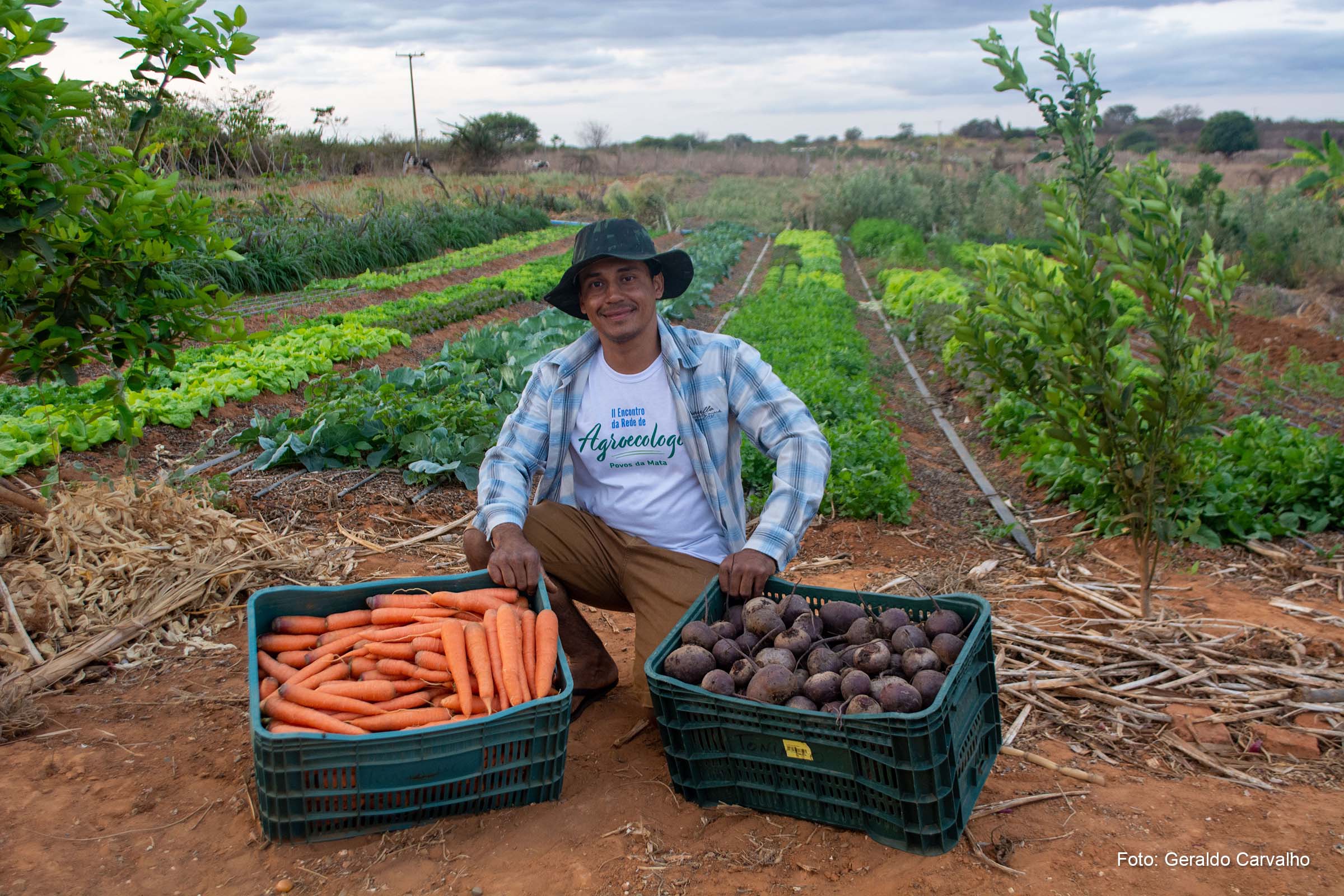 Agricultura familiar da Bahia alia produção com conservação da biodiversidade