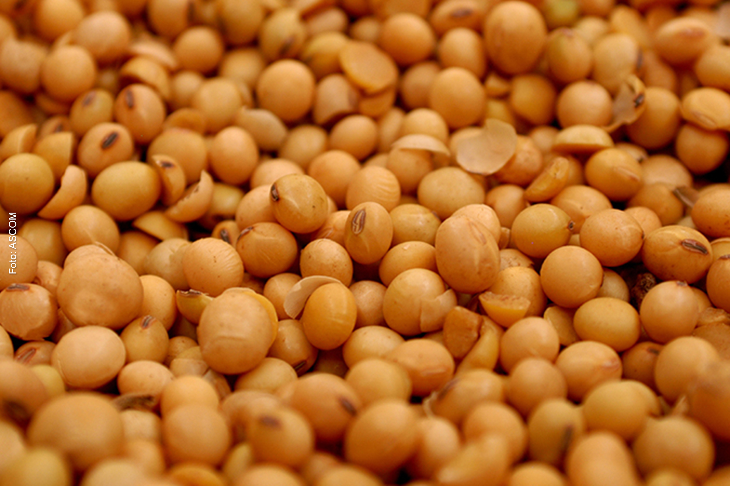 Exportações da Bahia têm queda de 55,7% em abril de 2023, diz SEI