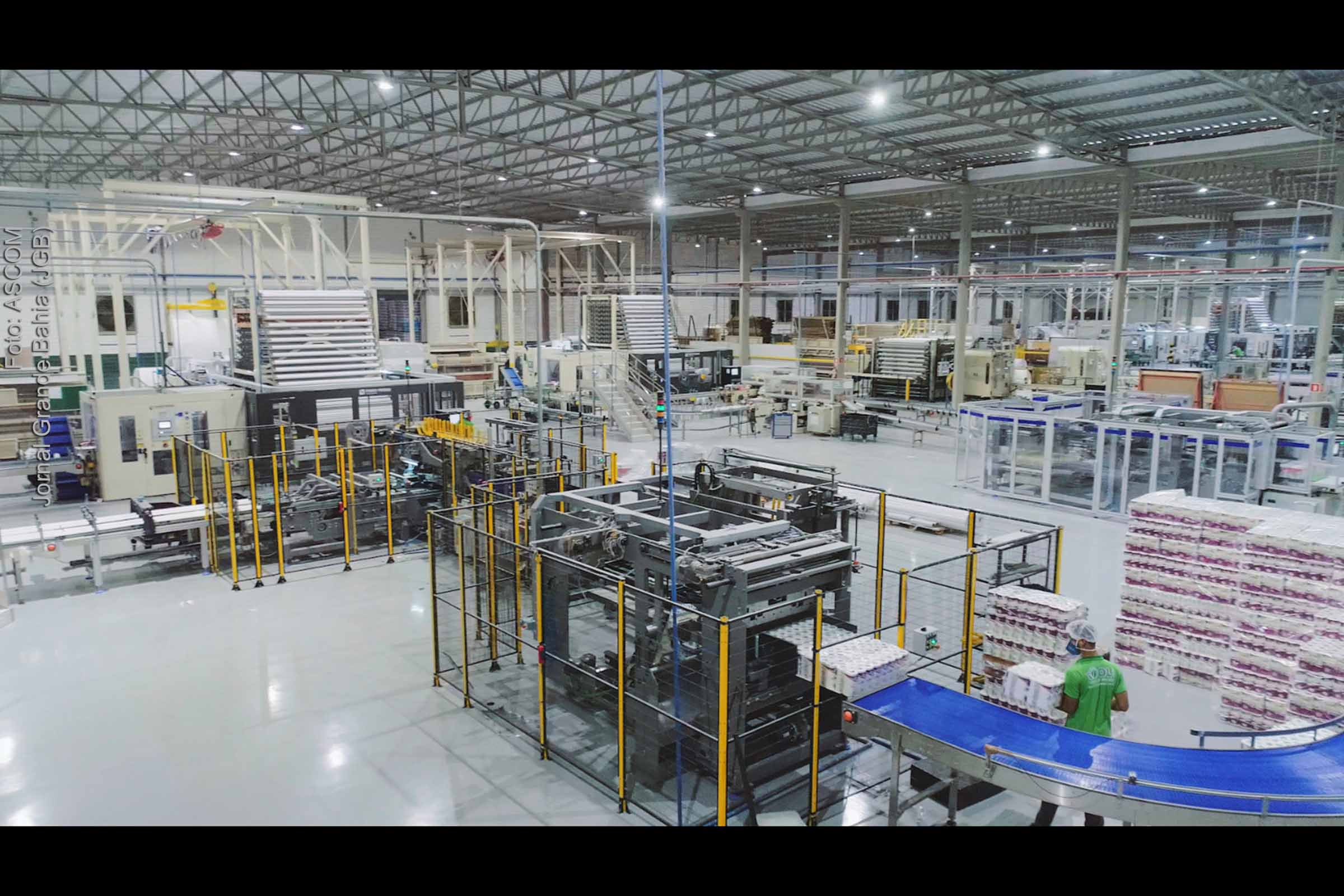 Bracell adquire empresa sediada em Feira de Santana e entra no ramo de ...