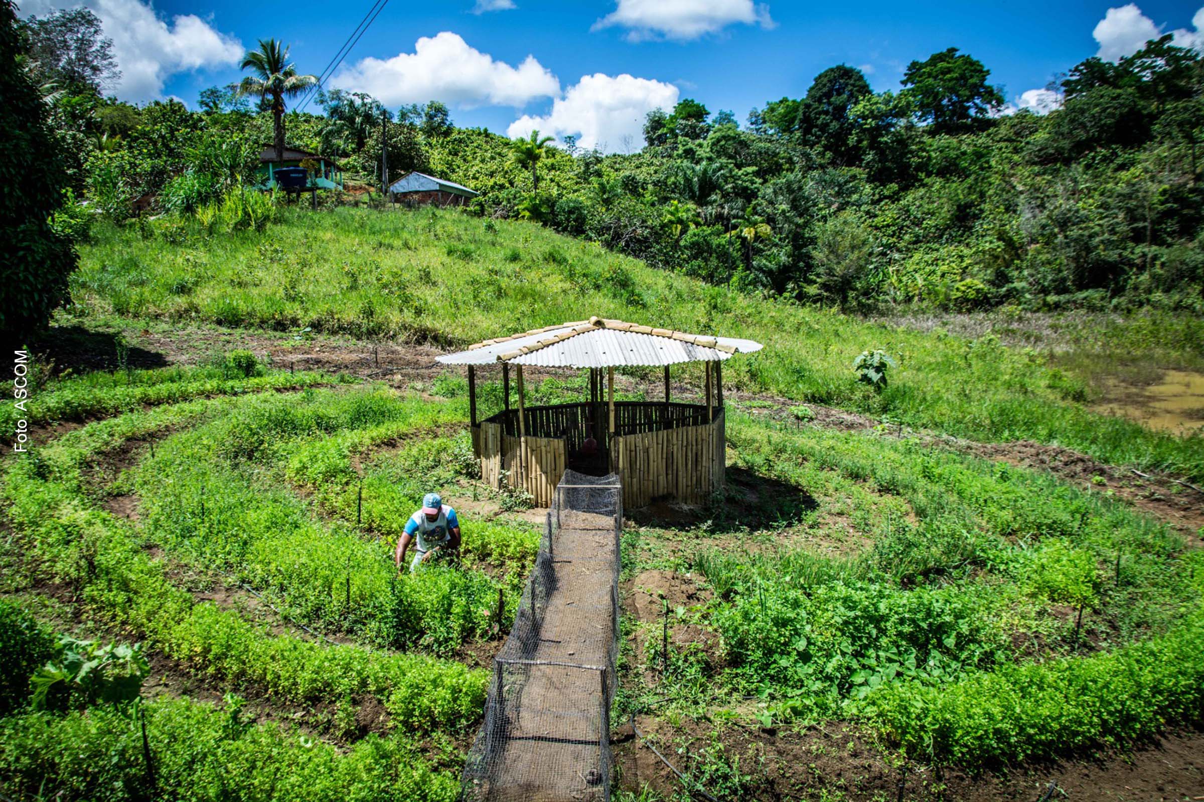 Sistema PAIS impulsiona produção sustentável e diversificada na Bahia