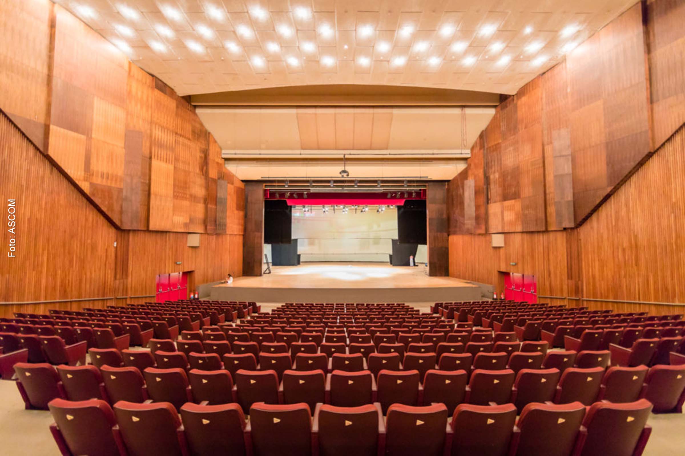 Os Comitês têm o objetivo, respectivamente, de coordenar os estudos de elaboração e implementação do projeto de requalificação da Sala Principal do Teatro Castro Alves.
