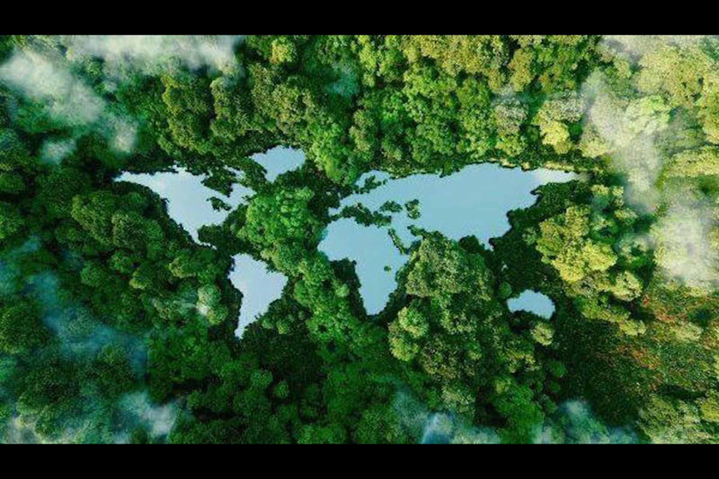 5 de junho, Dia Mundial do Meio Ambiente