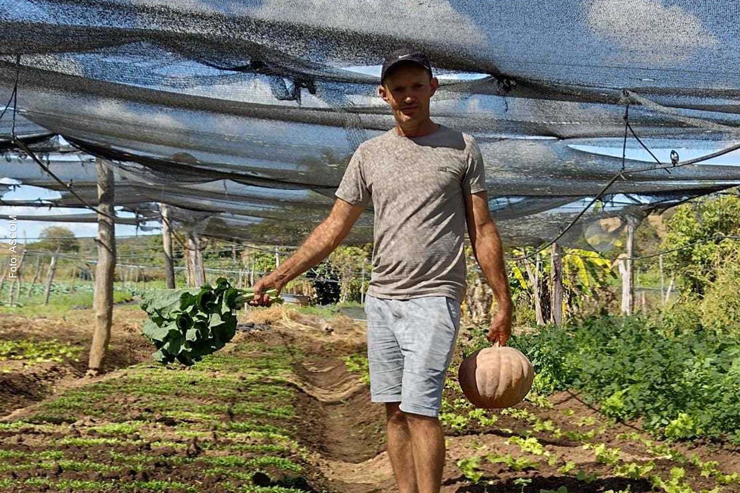 A produção foi ampliada e agora já está sendo comercializada por meio do PNAE.