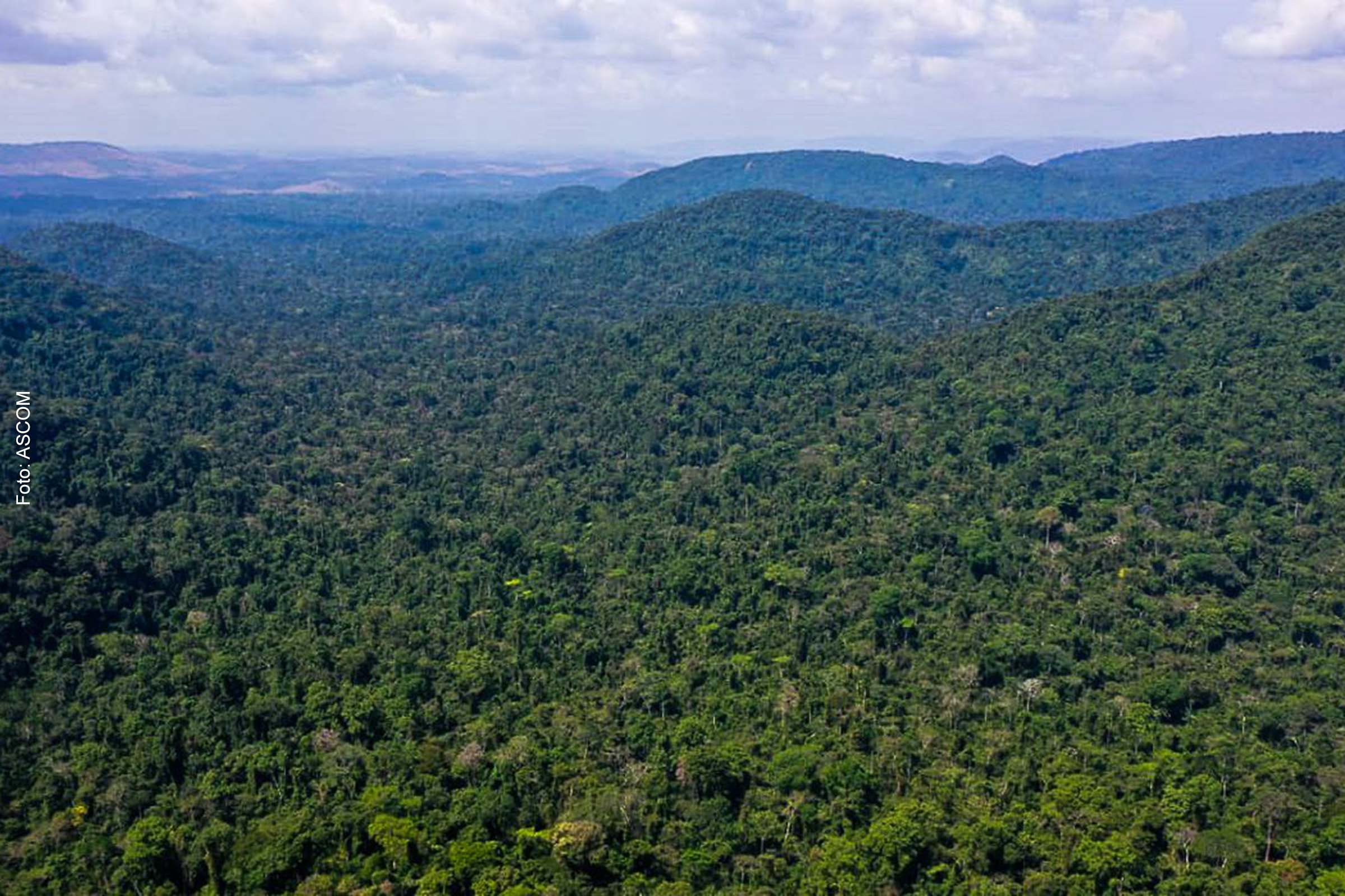 Esse número representa uma reversão da tendência de desmatamento, que chegou a aumentar 54% no segundo semestre de 2022.