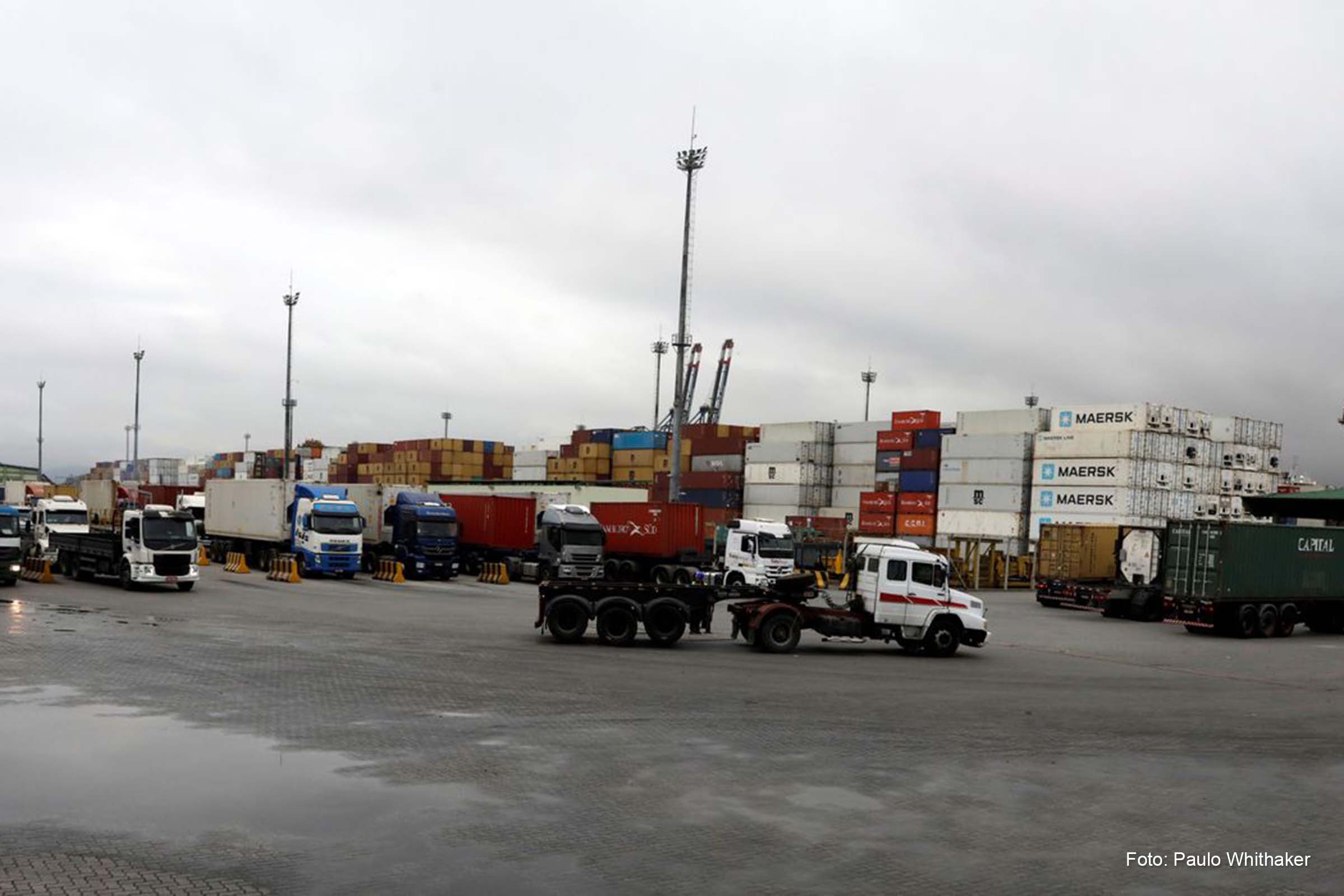 A pesquisa revela que as empresas exportadoras estão concentradas principalmente nas regiões Sul e Sudeste do Brasil.