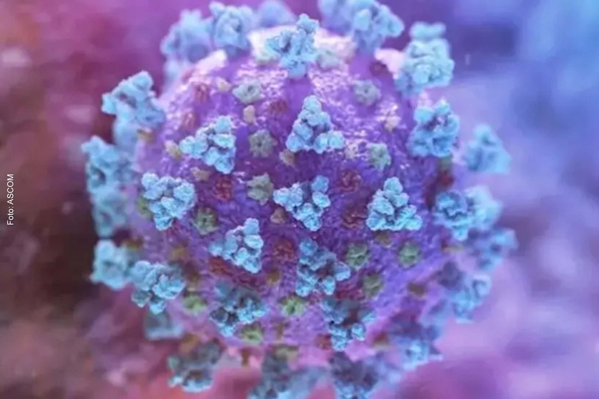 A vigilância da epidemia de mpox (antes chamada de varíola dos macacos) também ainda é necessária na Europa.